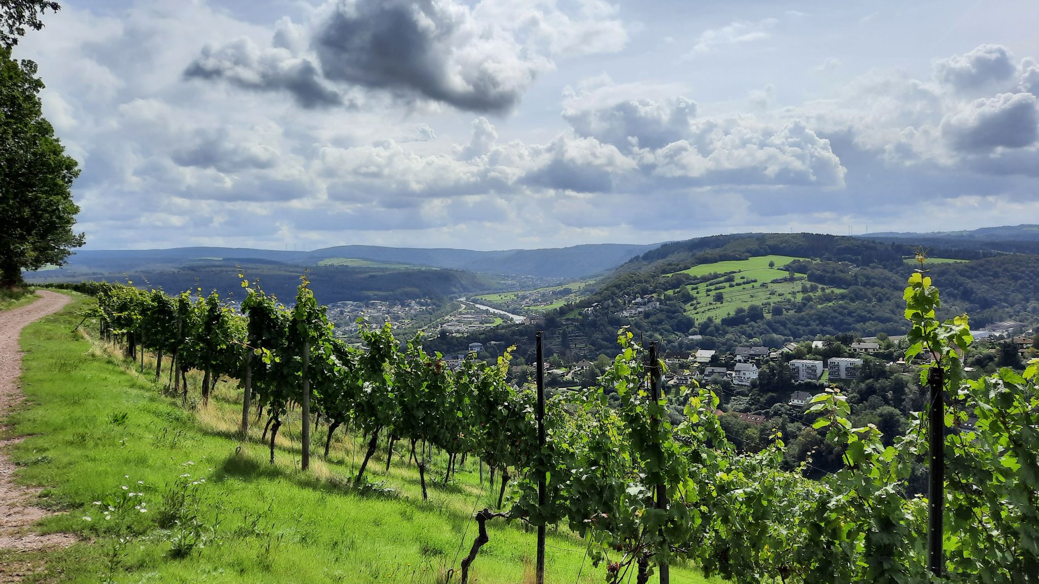 Abstieg nach Saarburg