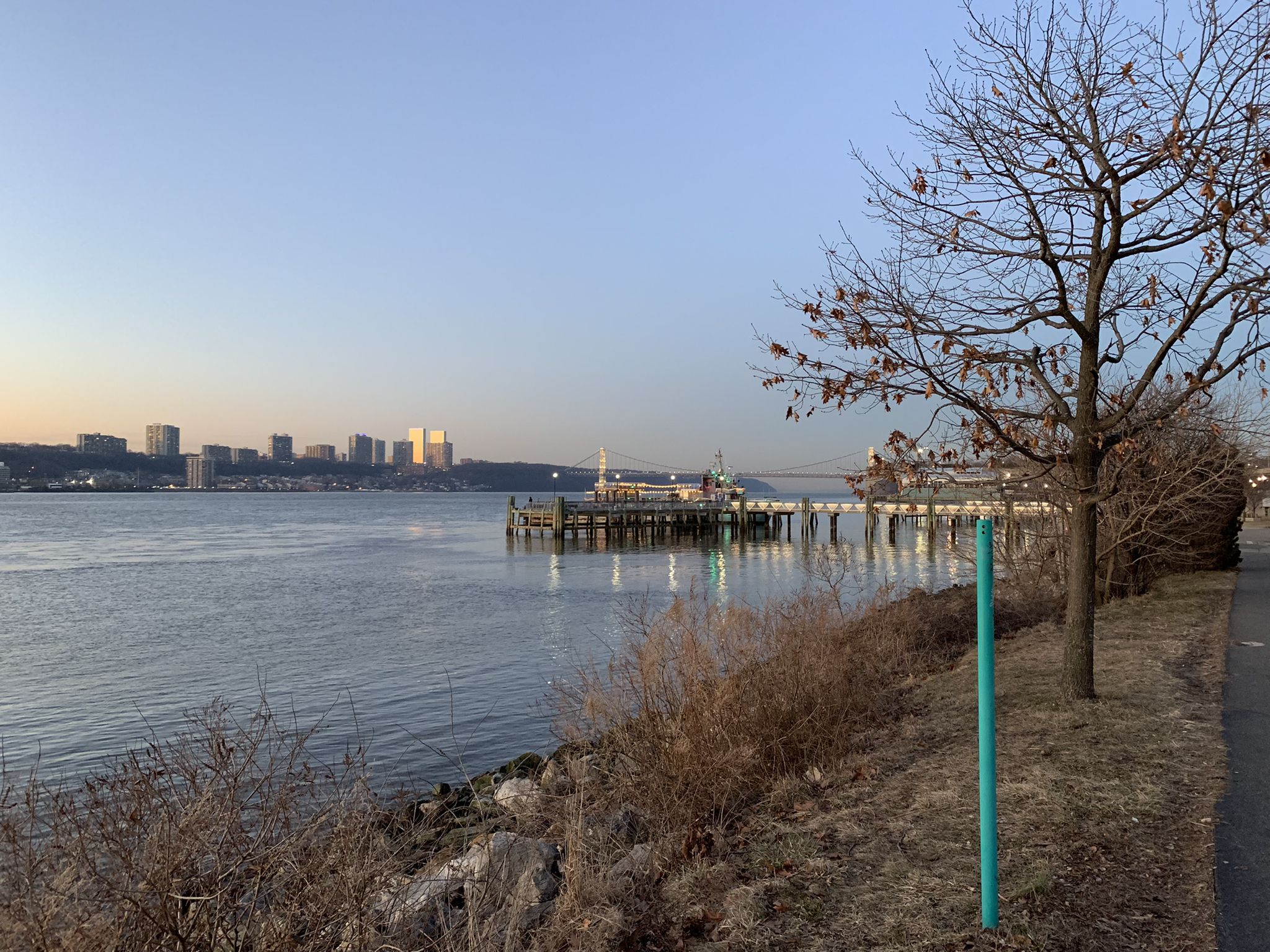 Waterfront view at golden hour with distant city skyline and bare trees. - Cherry Walk