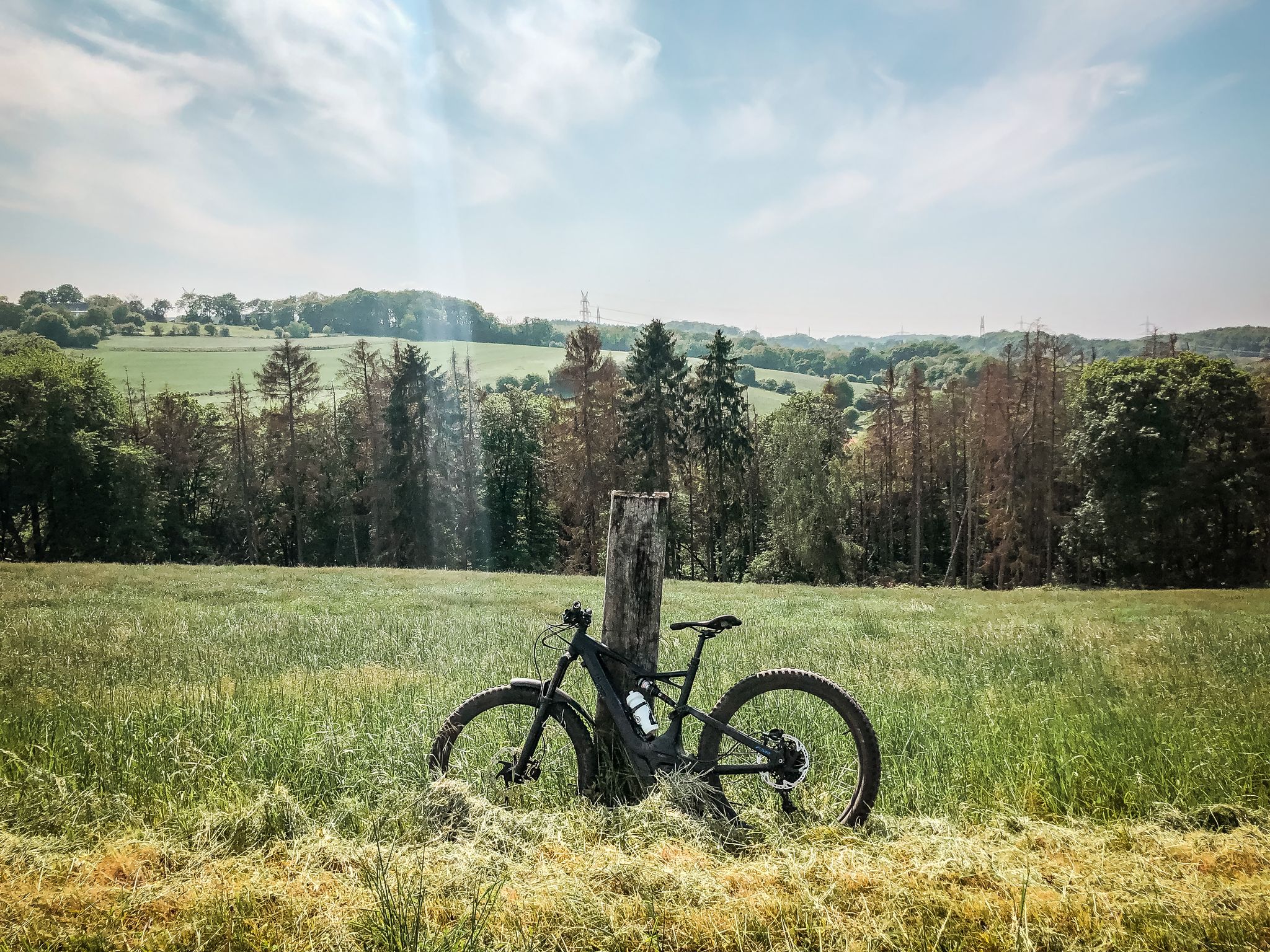 mtb reifen 29 x 2 60 Schwalbe Wicked Will Performance Line Faltreifen // 65-622 (29x2,60') Sport & Freizeit Tip Up Rig Pegasus Savona SL Belt Kopfumfang:59 - 61 cm