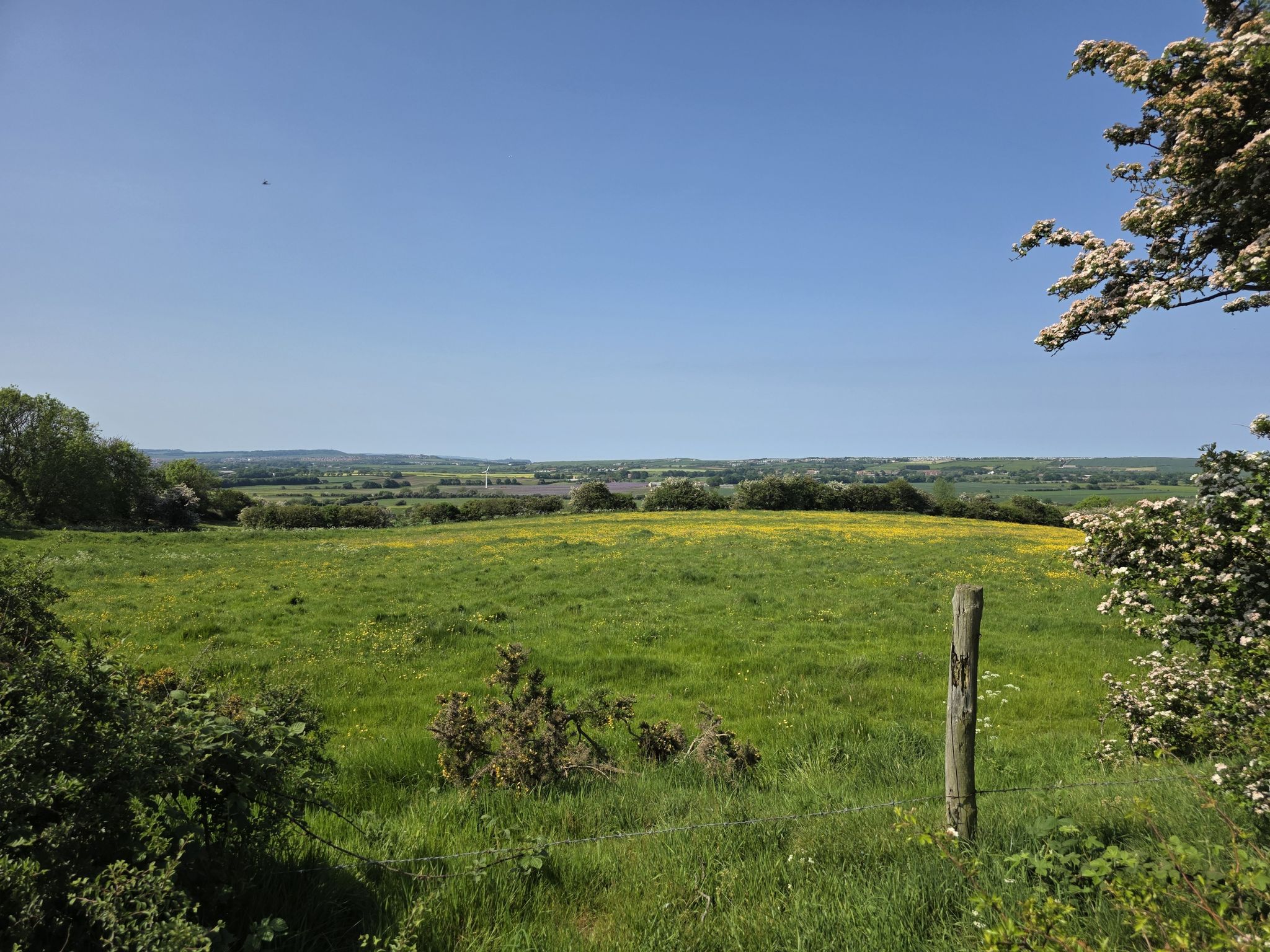 View towards Cayton