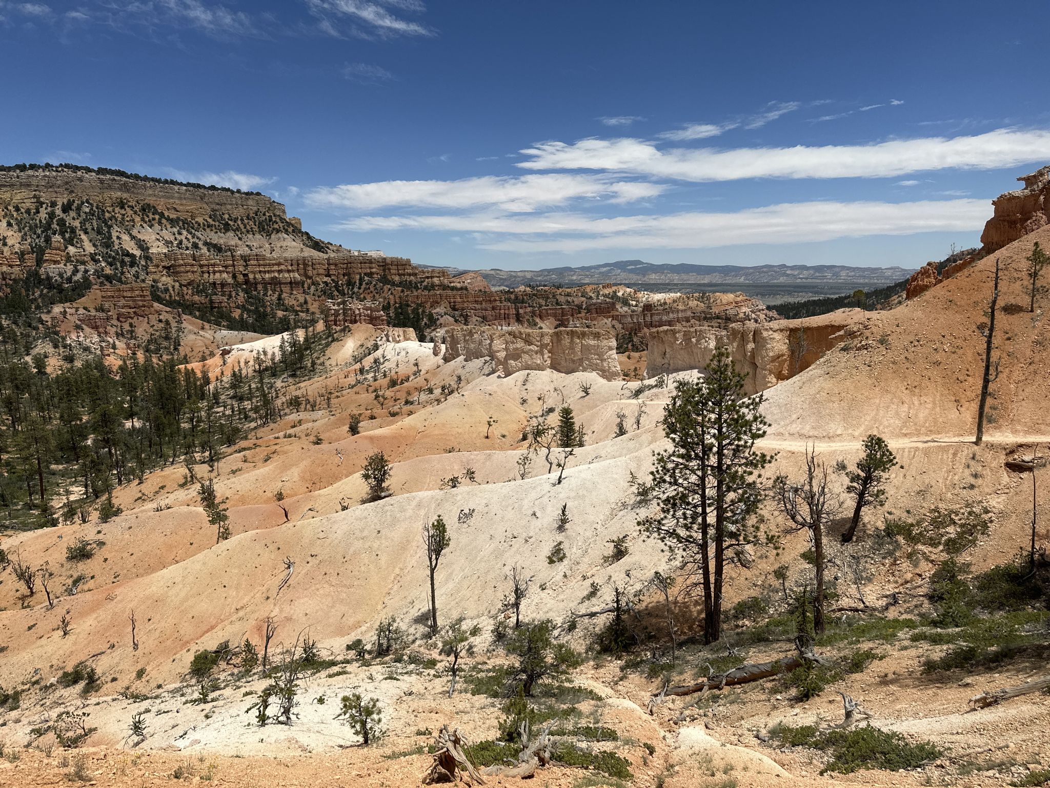 Sandy, eroded hills with scattered trees and distant rock formations under blue sky. - Tower Bridge Trail