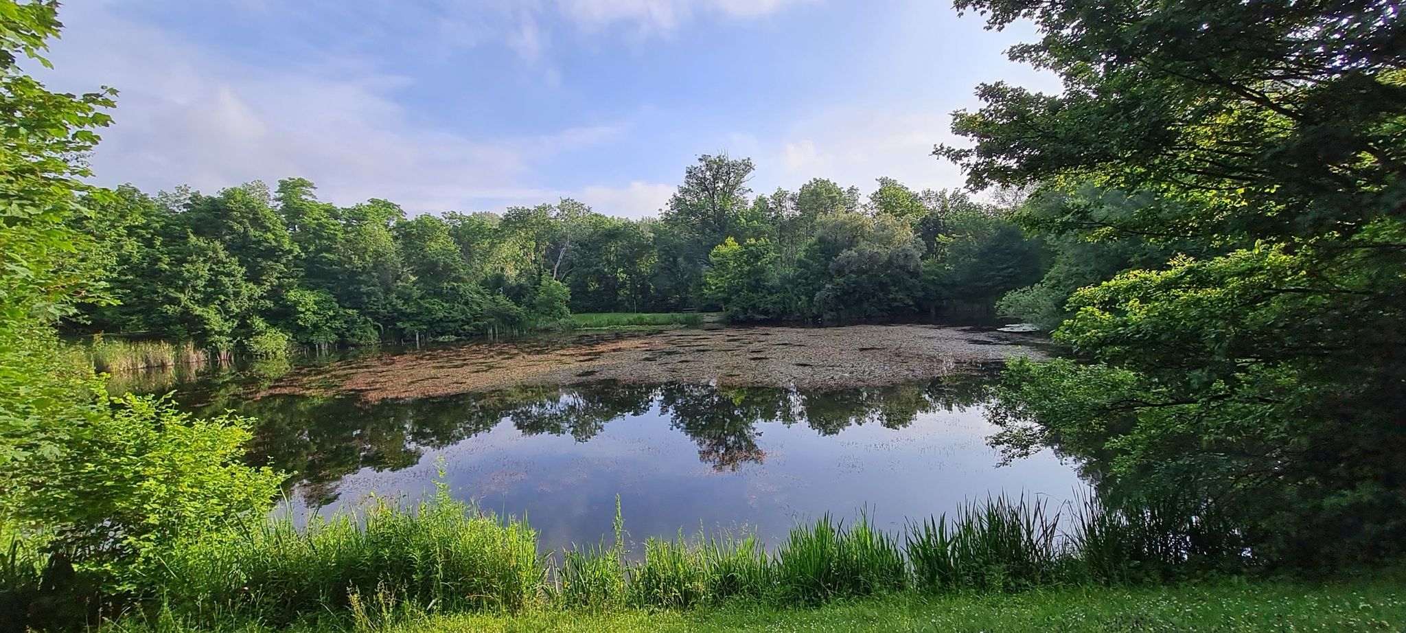 Zierteich