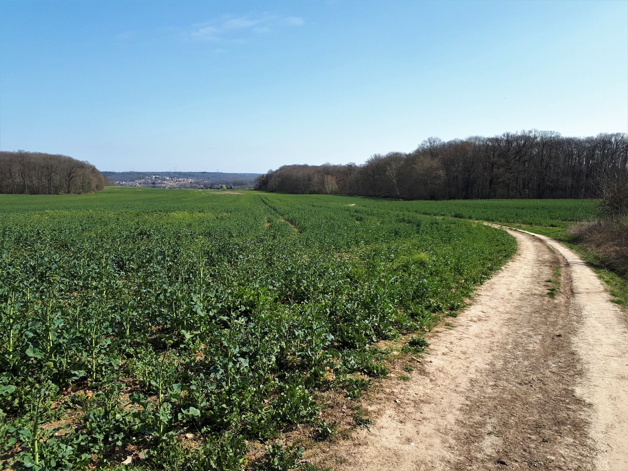Vue sur Briis avec une belle petite descente.