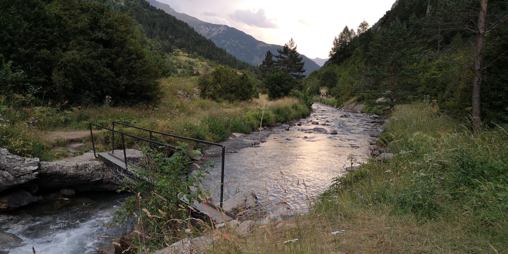 puente de carlitos royo