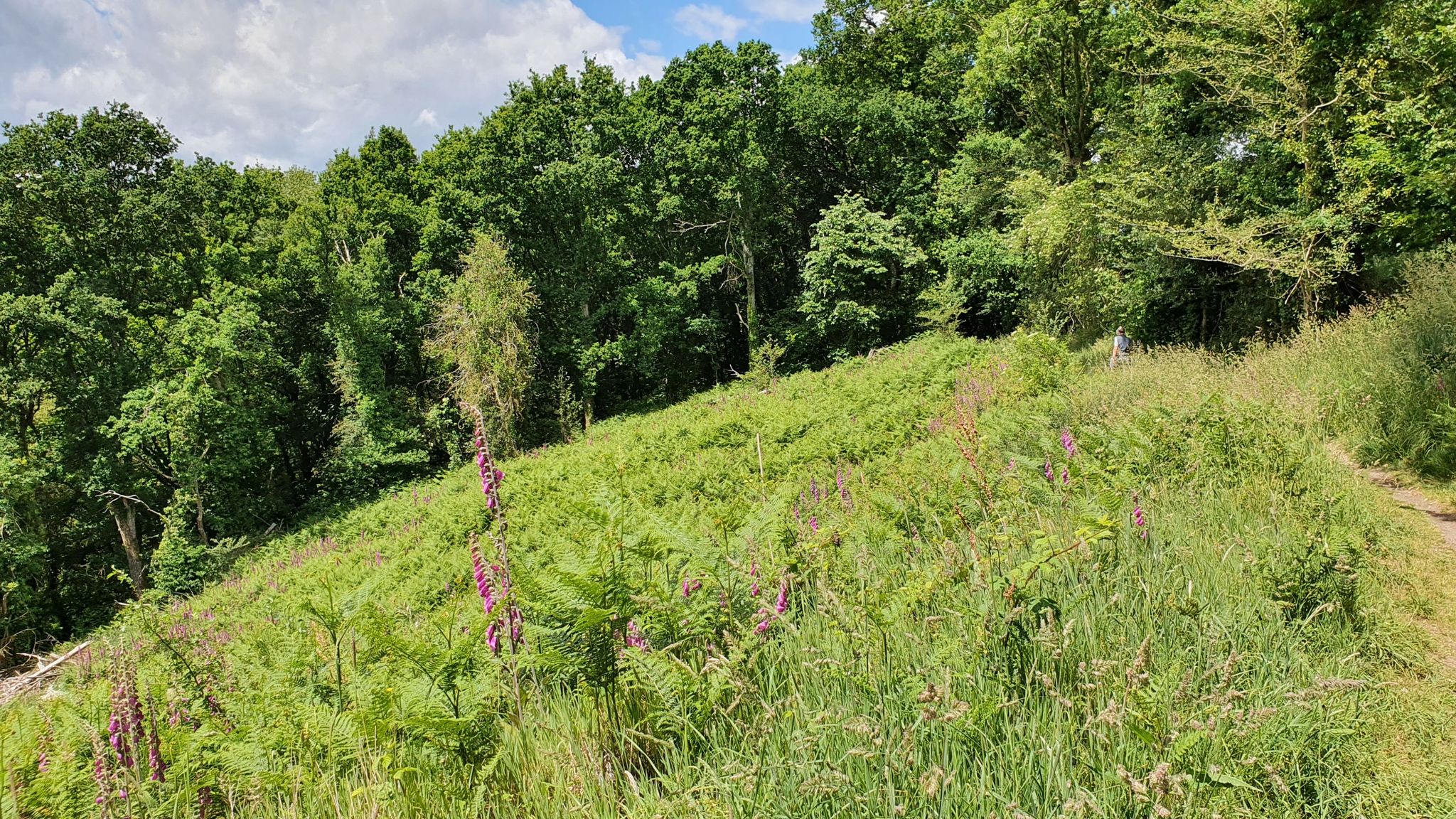 oberhalb des Tals