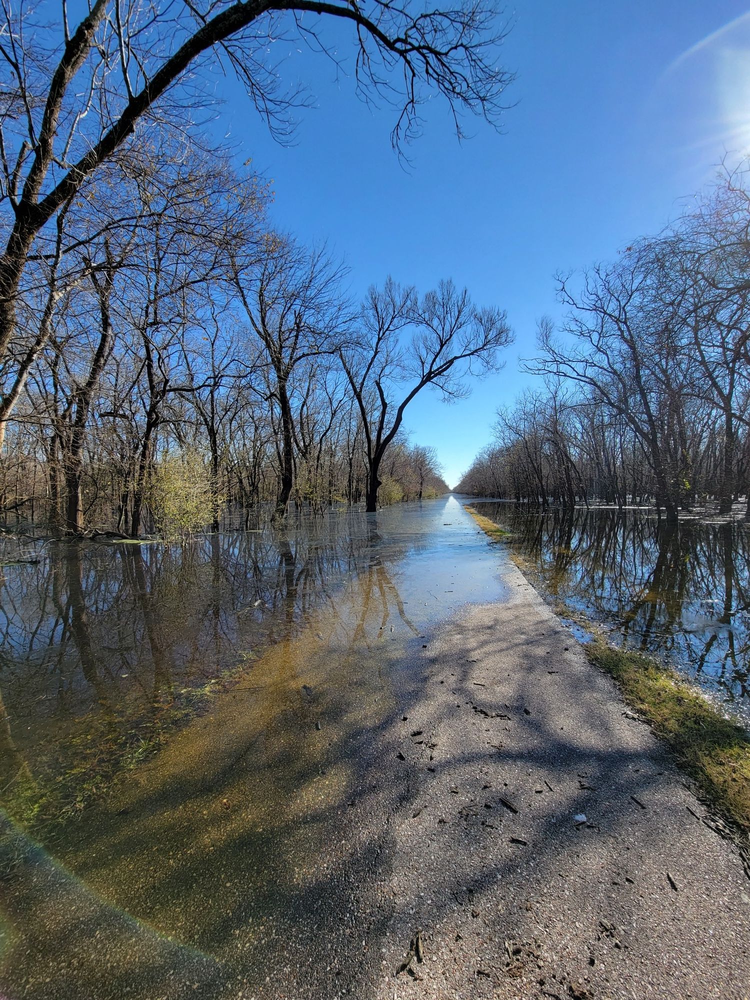 Flooded paved path surrounded by bare trees under a bright blue sky. - George Bush Park Hike and Bike Trail