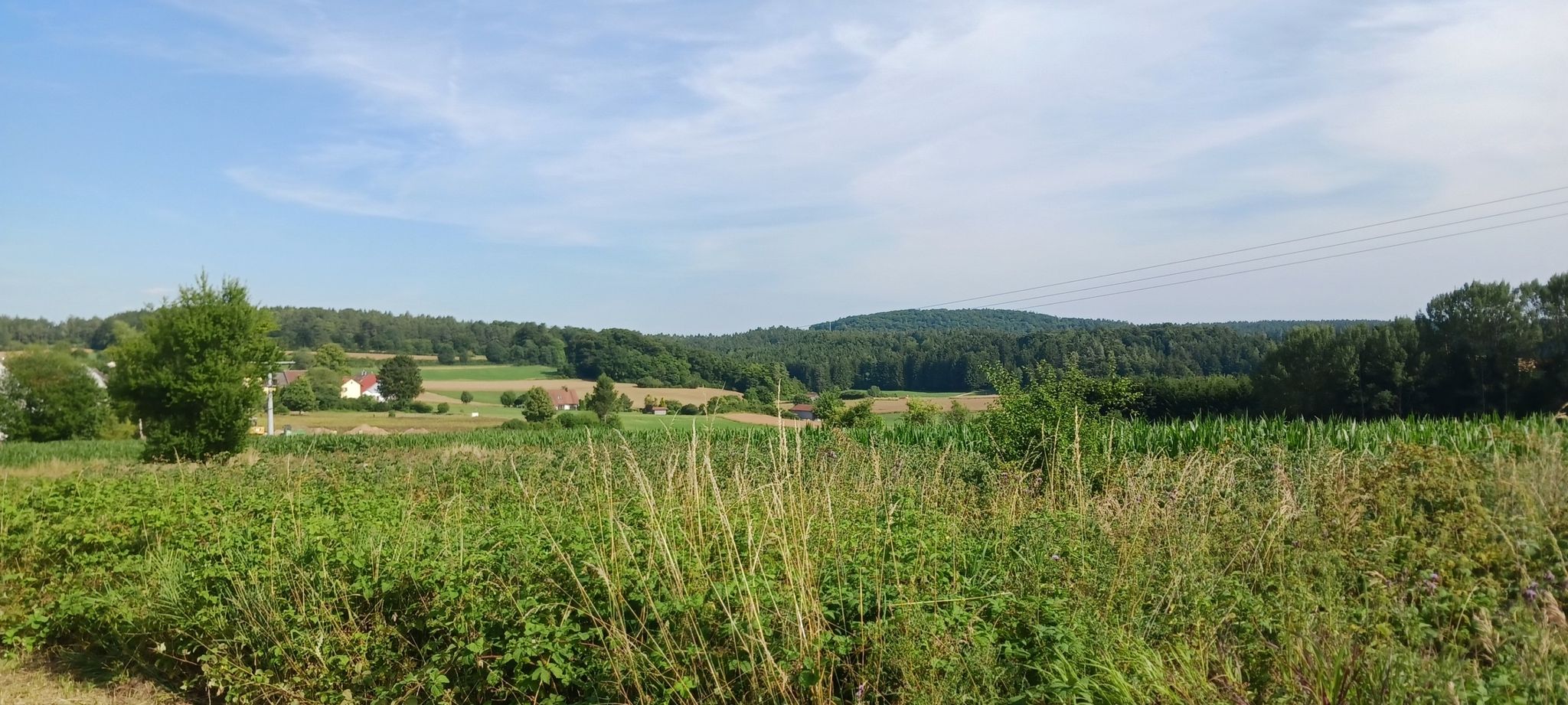 Ausblick u. Blick auf Willertshofen - bei Pettenhofen