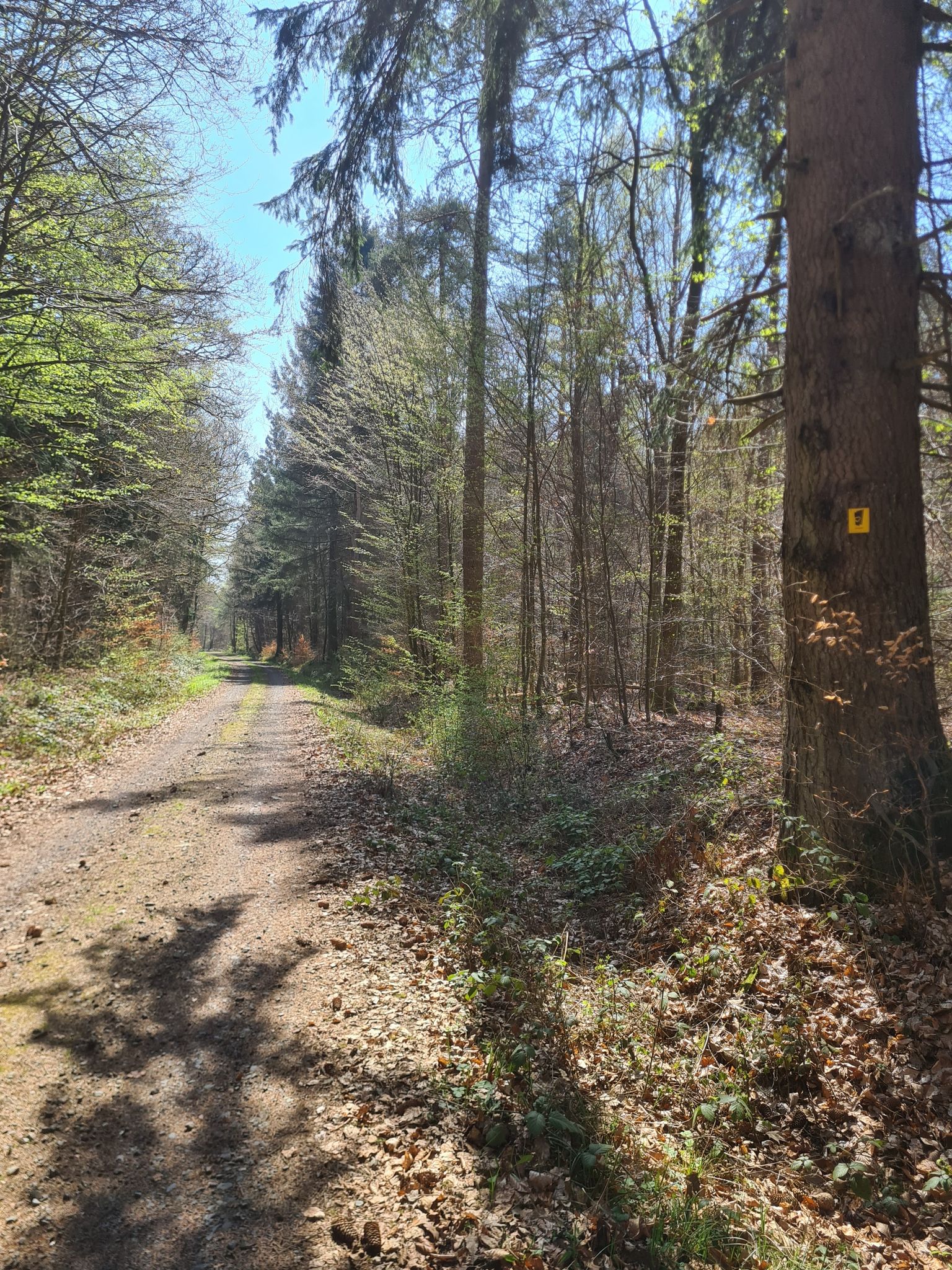 Schotterweg