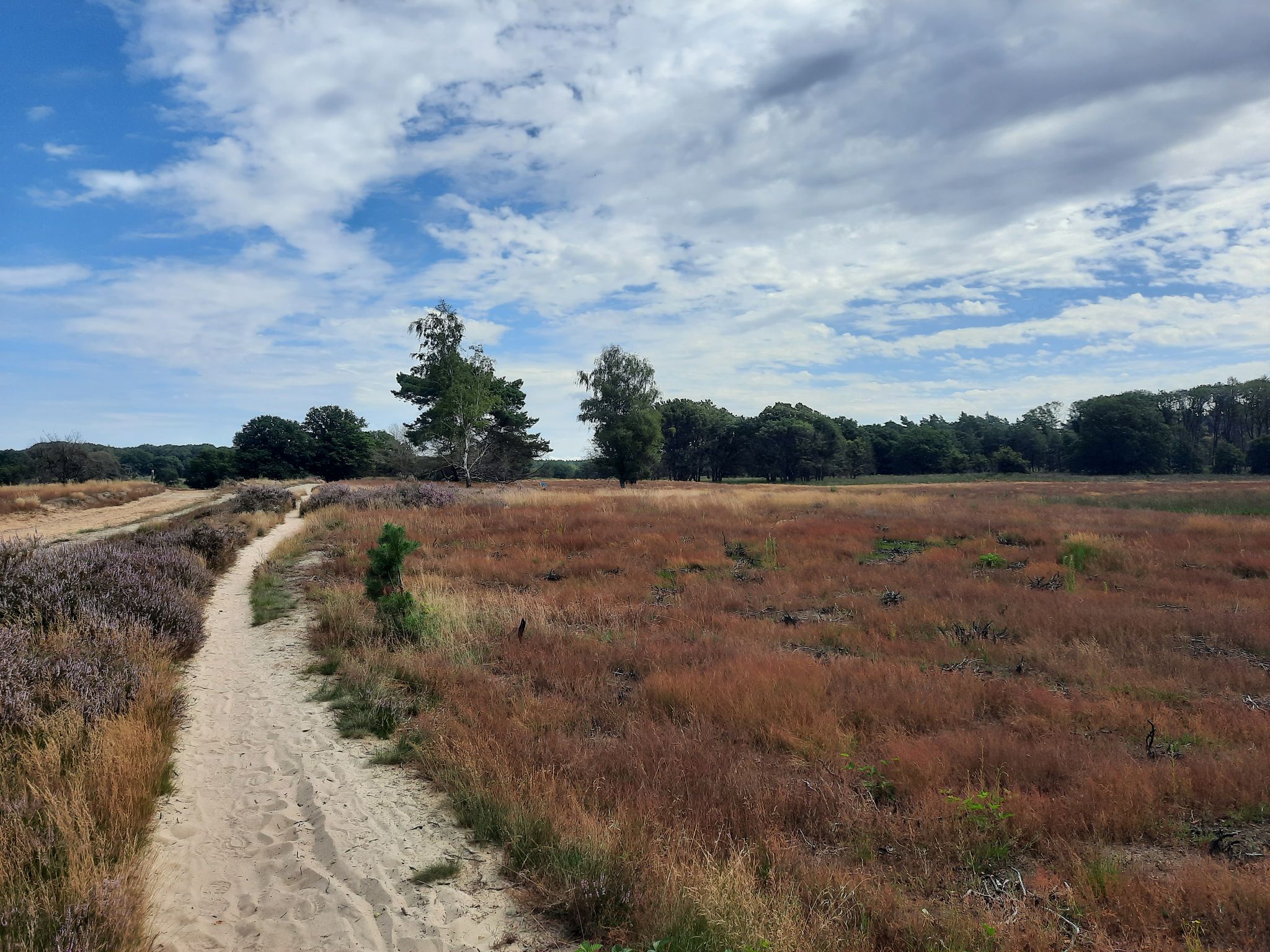 National Park De Meinweg