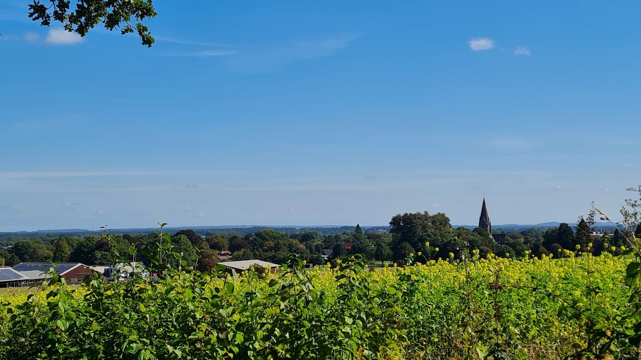 Mettingen
