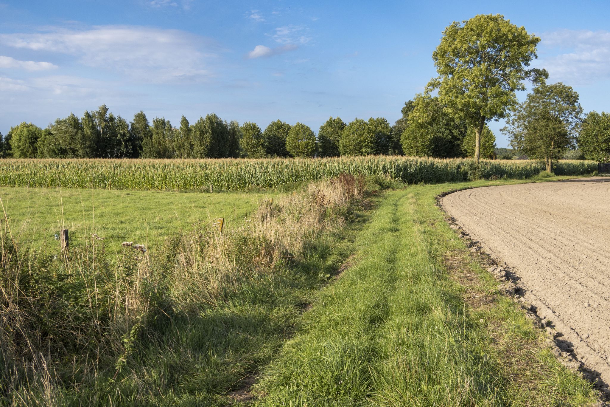en het gras van de Rokouterweg richting Hansbeke