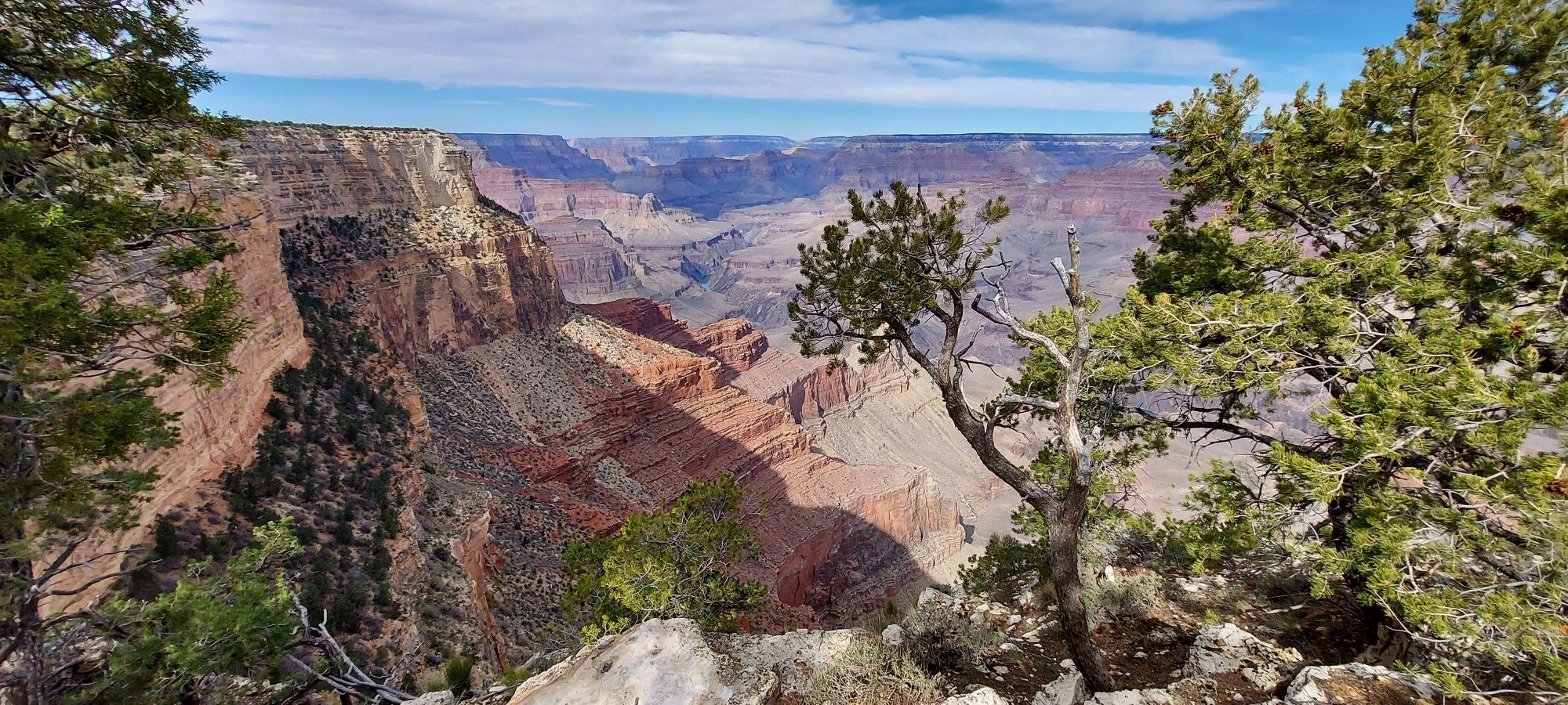 Deep canyon view framed by green trees, with bright sunlight. - Rim Trail