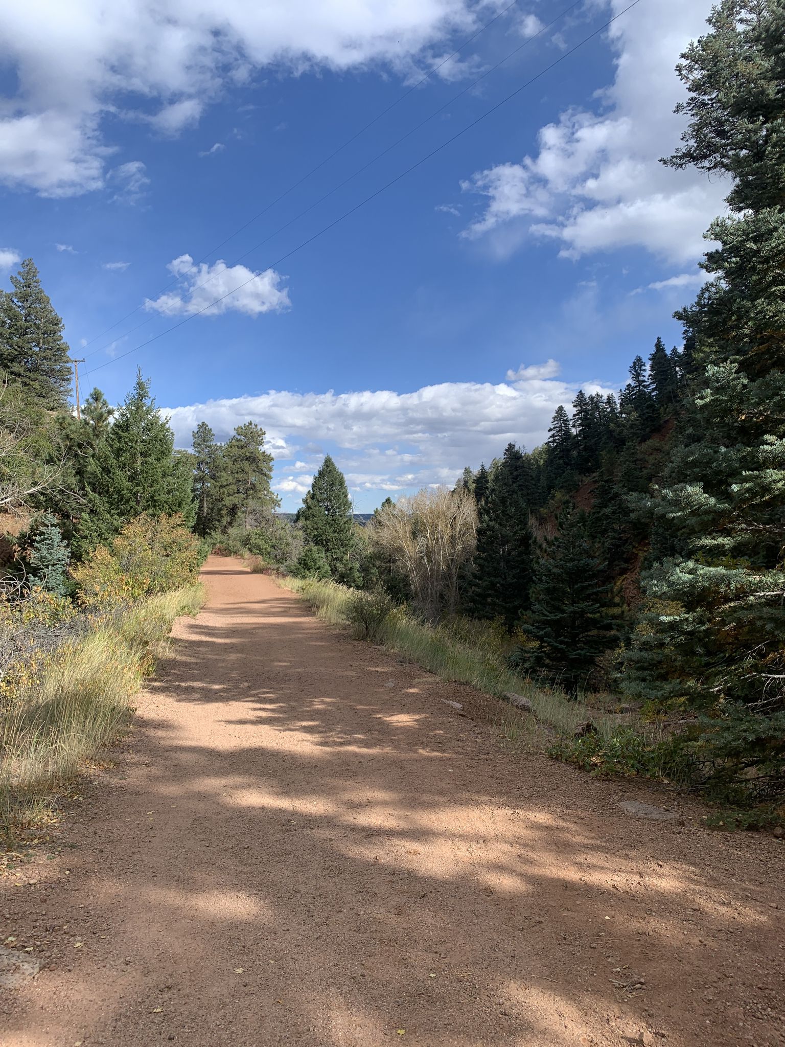Wide dirt path through a green forest under a bright blue sky. - Harrison Plane Crash via Ice Cave Trail
