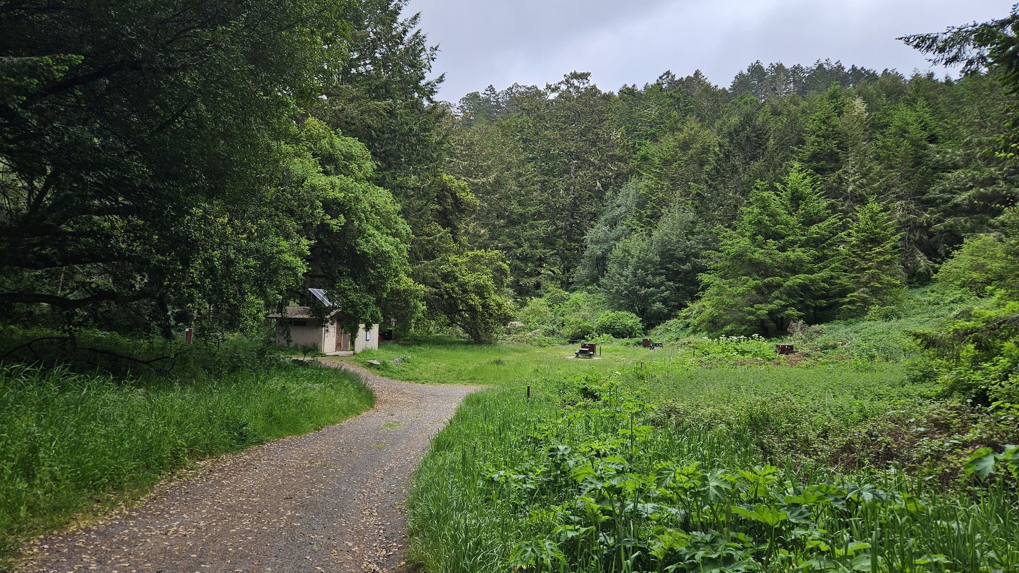 Dirt path leads to a small building amidst a lush green forest. - Stewart, Coast, and Greenpicker Loop
