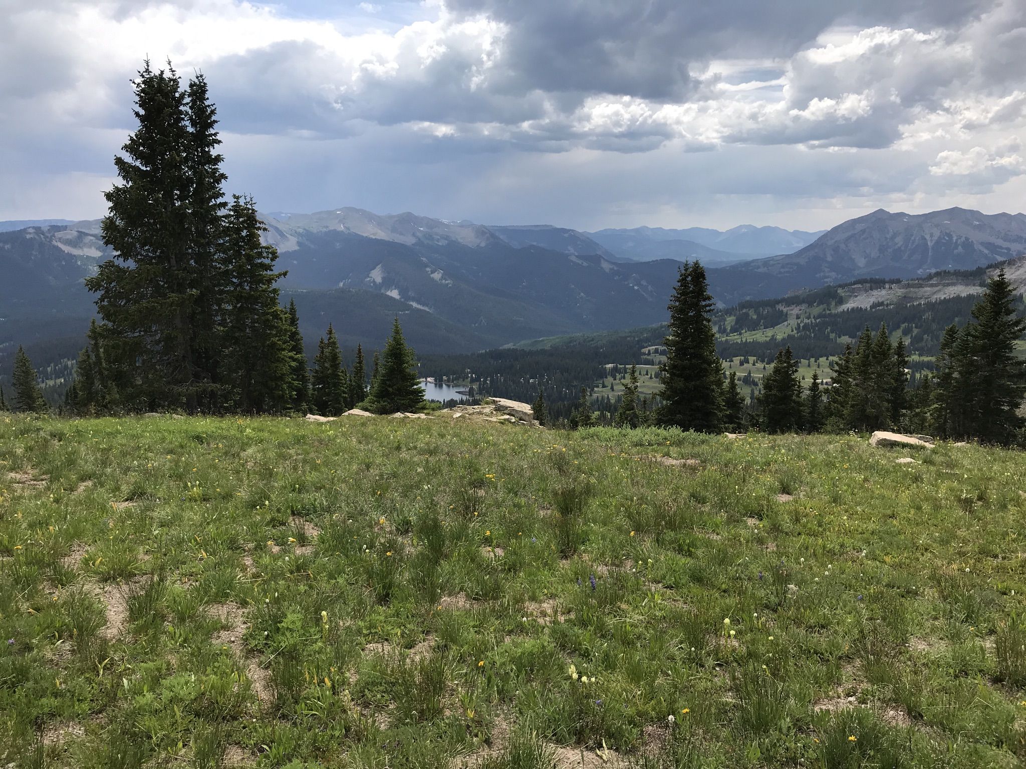 Grassy hill overlooking a valley with pine trees and distant mountains under cloudy skies. - Irwin Lake Trail