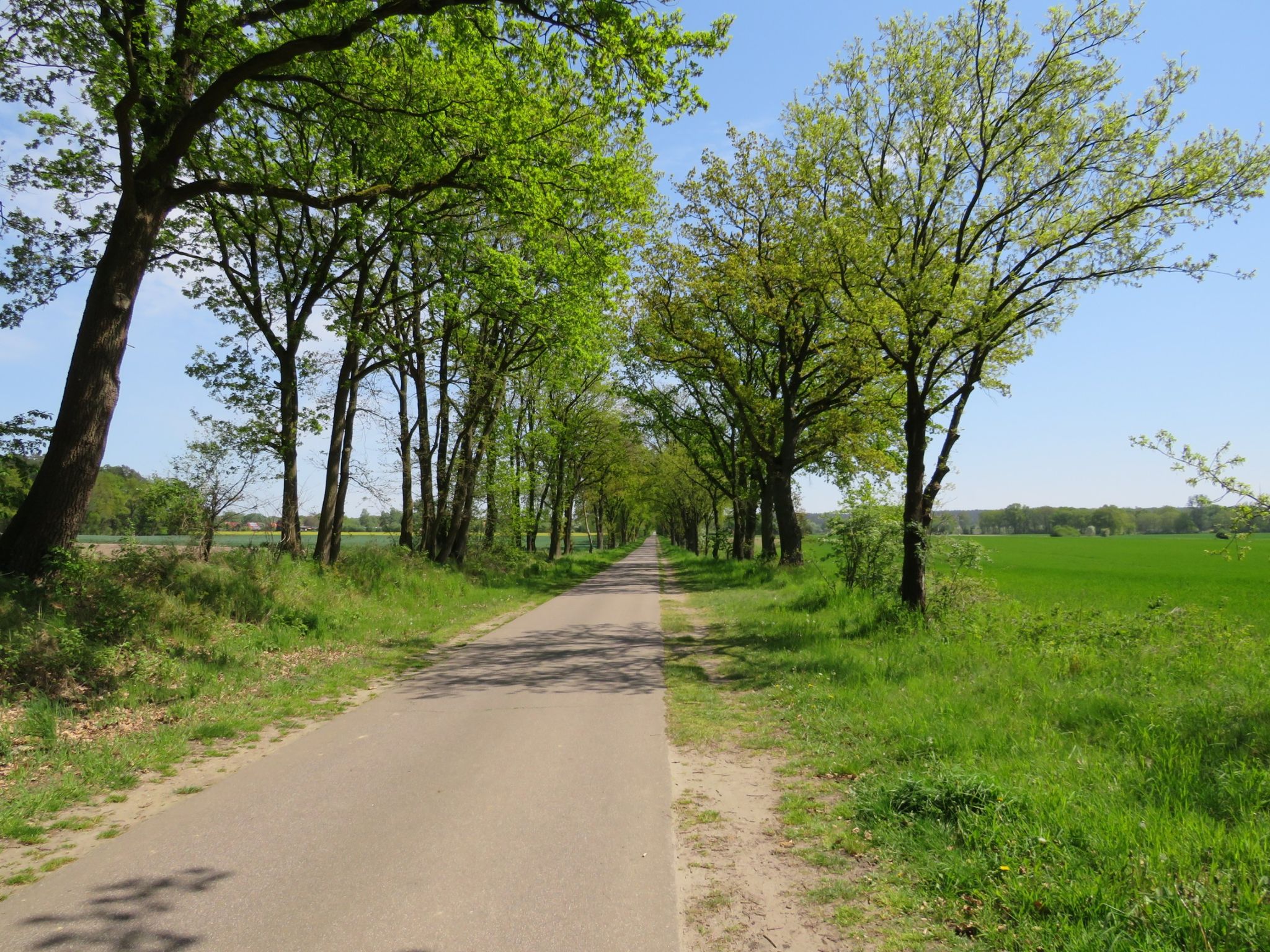 Grüner-Jäger-Weg