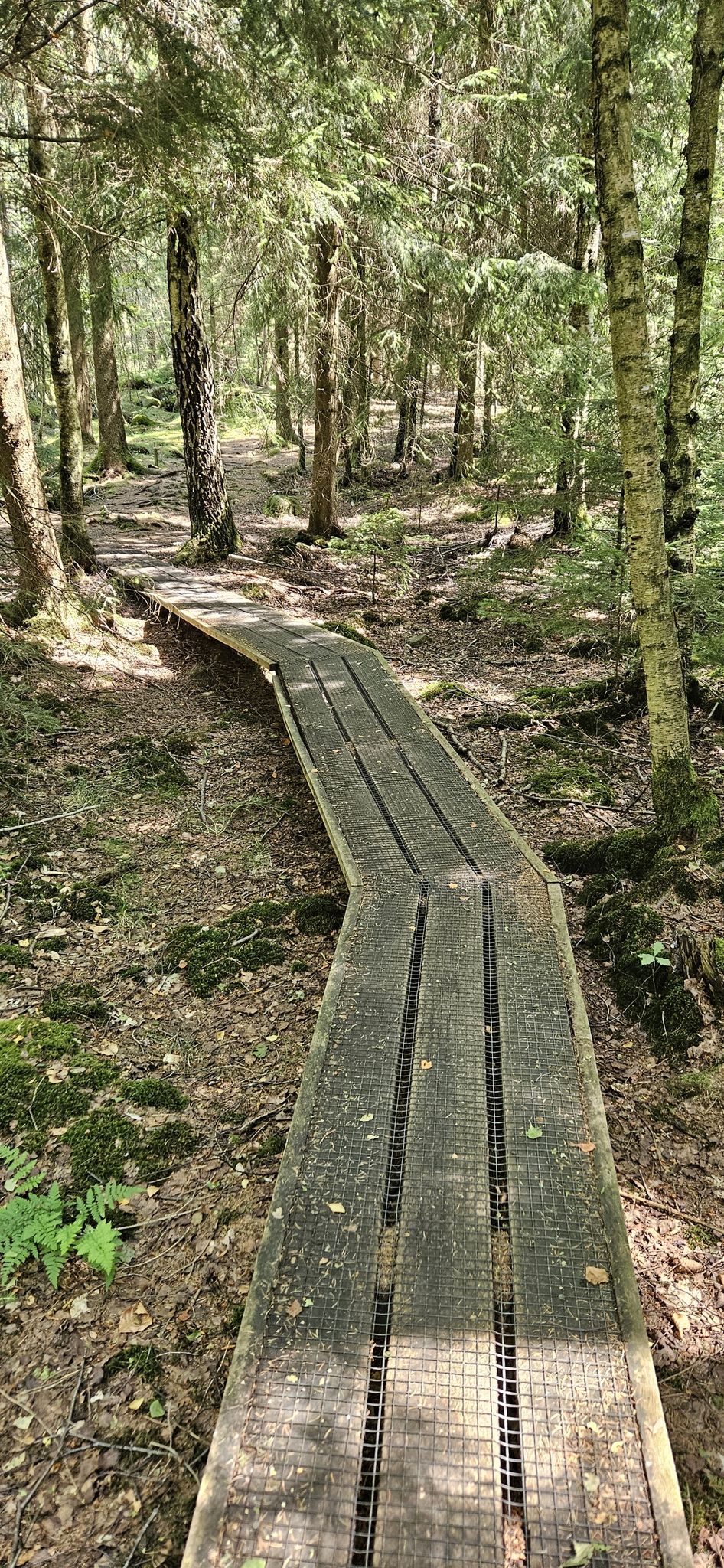 Holzsteg 