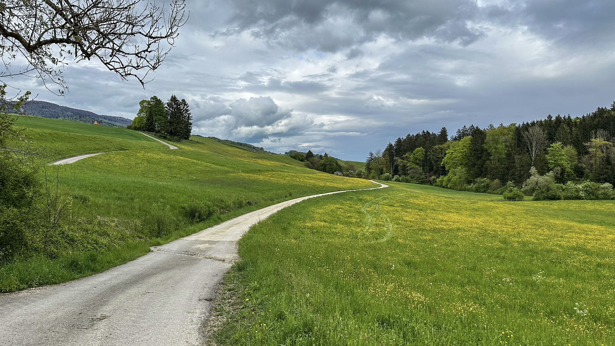 ...auch immer wieder ganz nett Richtung Hubersdorf😊...