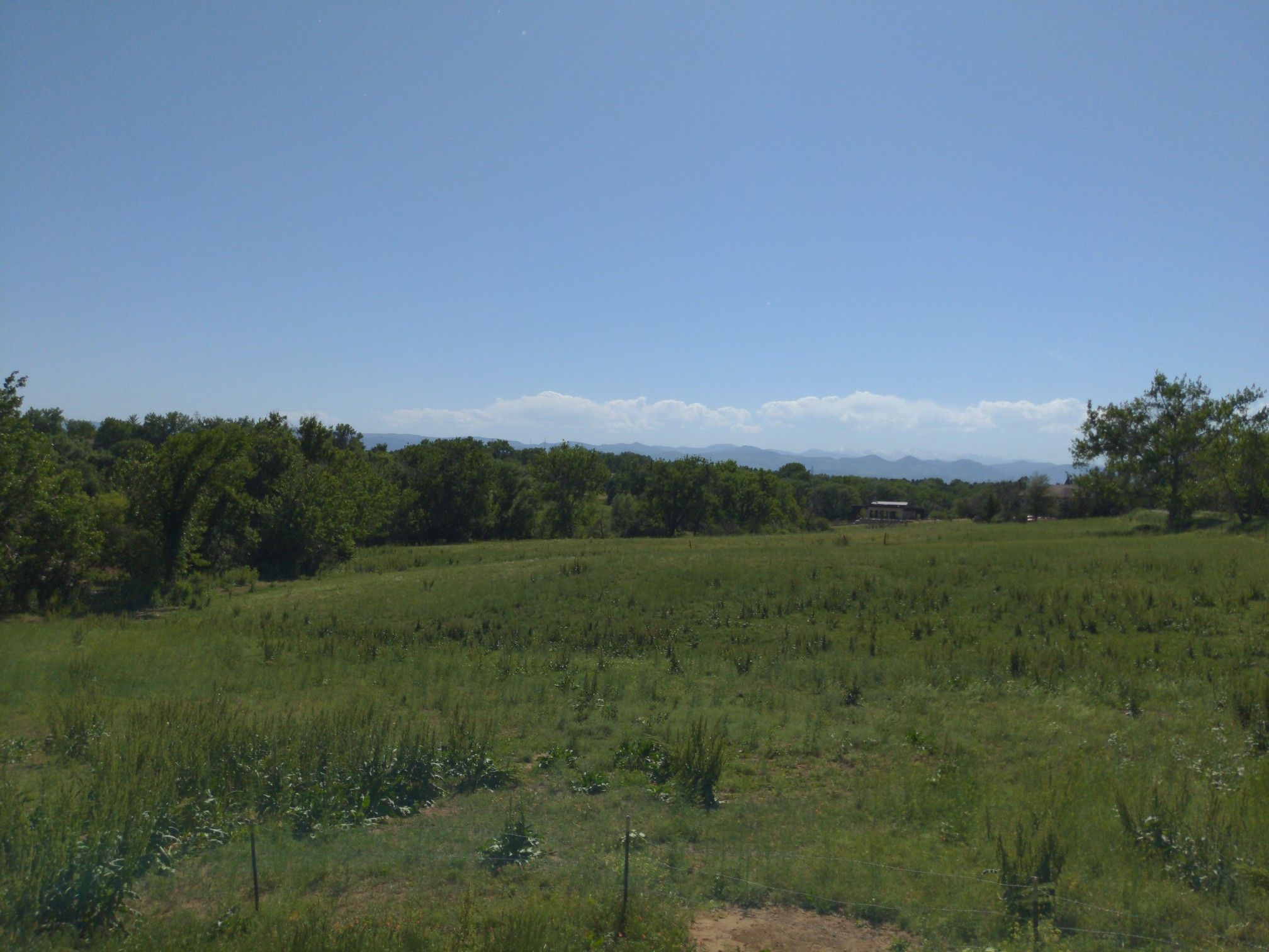 Vast green field stretching towards distant mountains under a clear blue sky. - High Line Canal and Lee Gulch Trail Loop