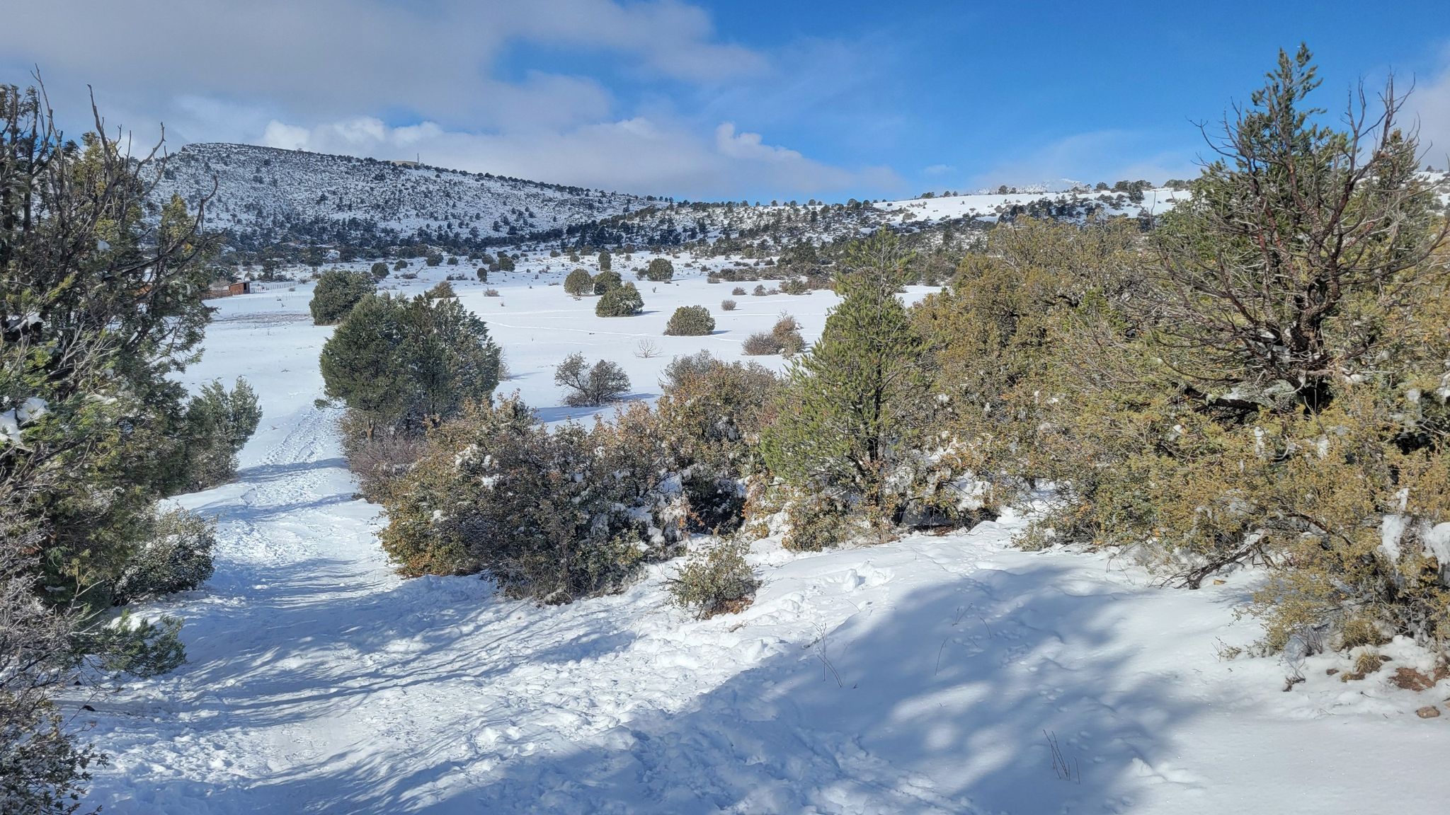 Sunny snowy landscape with evergreen trees and a winding path through hills. - Pioneer Park Trails Loop