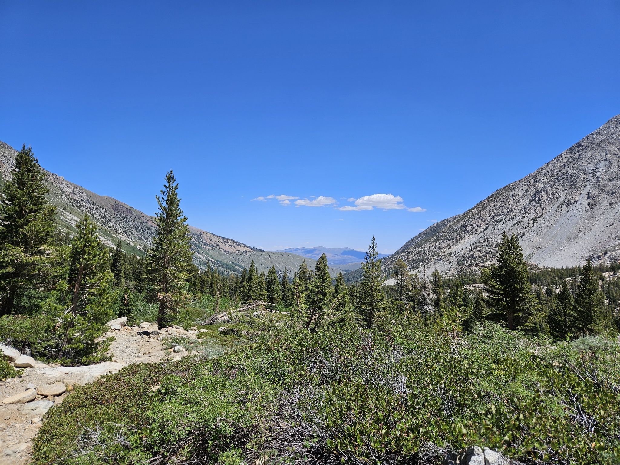 Sunny mountain valley with pine trees, rocky slopes, and a clear blue sky. - Green Lake via Green Creek Trail