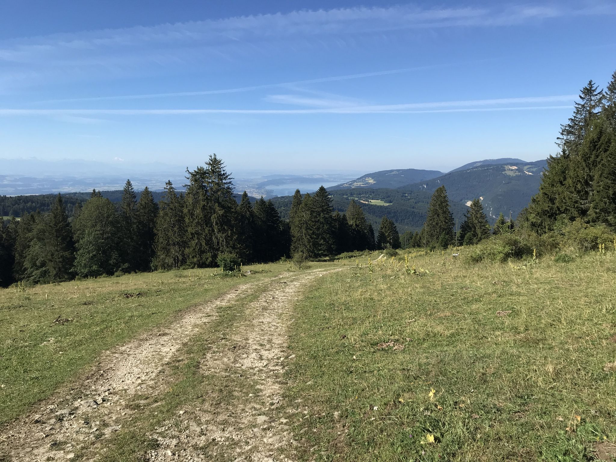 Super Aussicht auf den Bielersee...