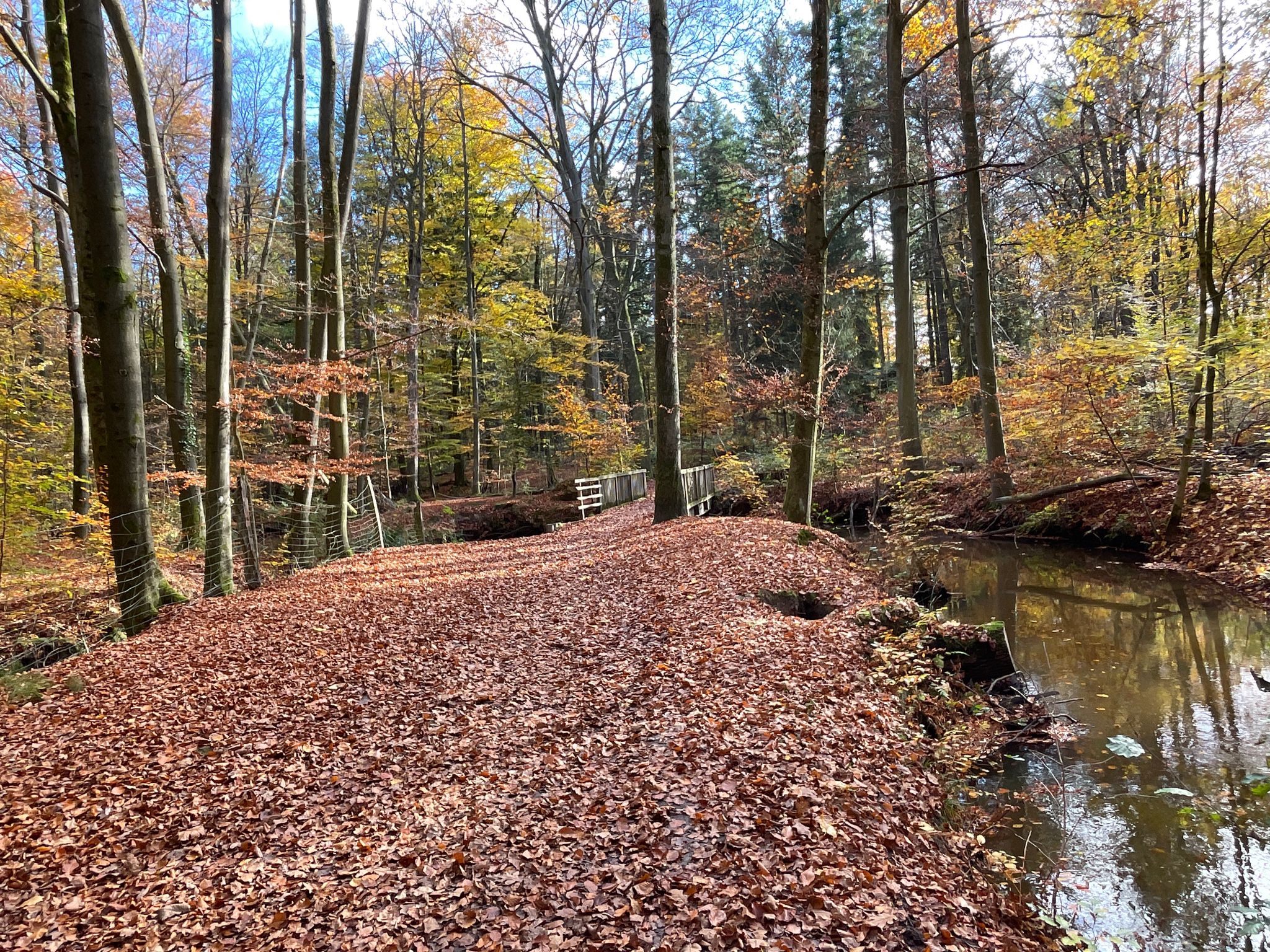 Hasenburger Bachtal