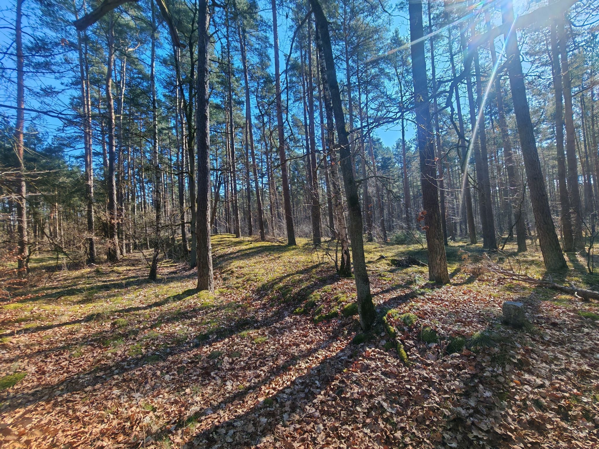 alte versteckte Sanddünen