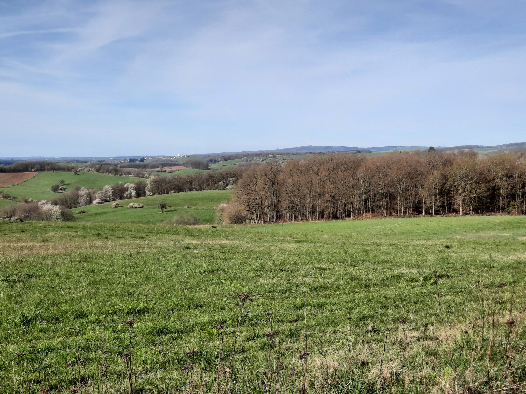 Panorama bei Glan-Münchweiler