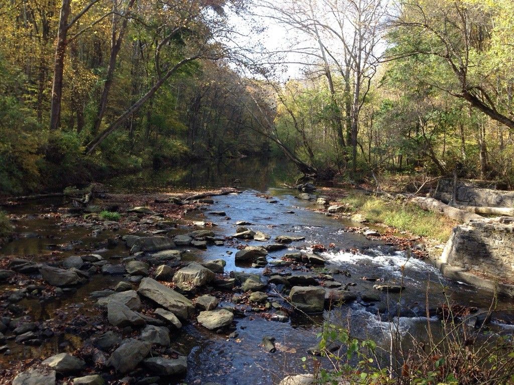 Rocky river flowing through a sunlit forest with autumn-colored trees. - Narrow Forest Trail – White Clay Creek loop from London Britain Township