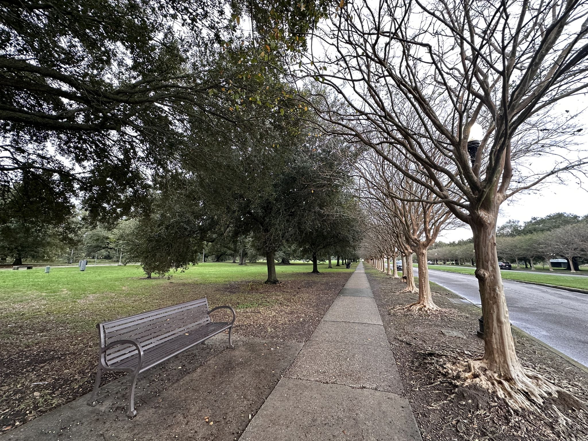 Park bench beside a sidewalk, lined with trees, on an overcast day. - Big Lake City Park – Jackson Square loop from Touro Synagogue