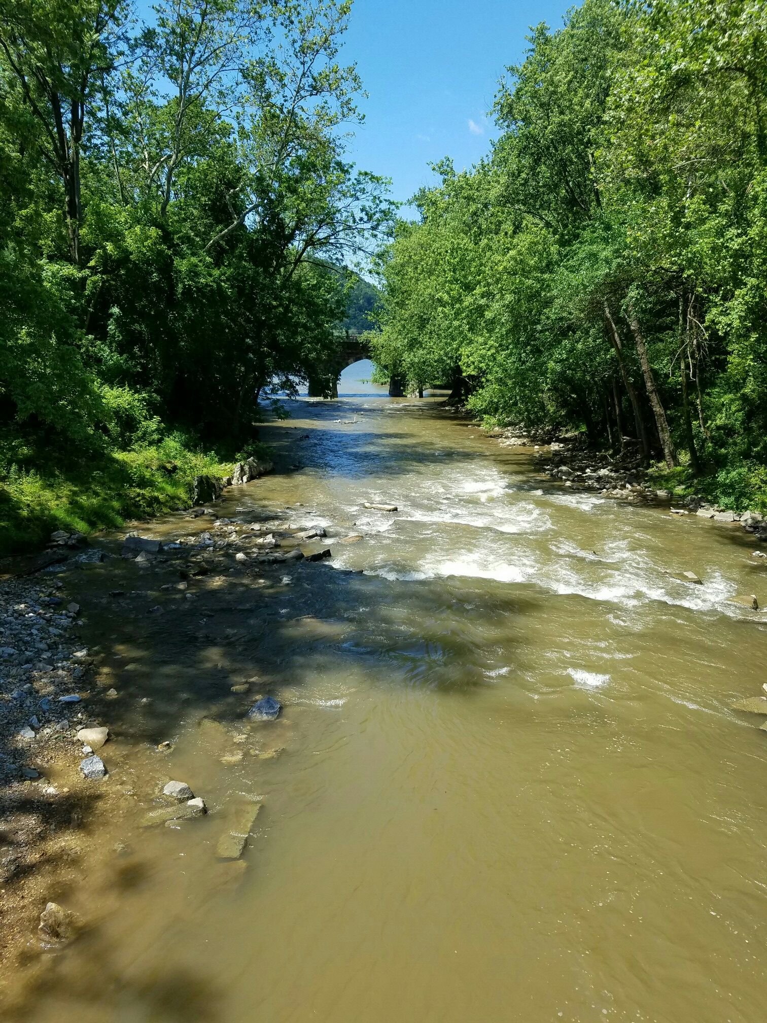 Murky river with rapids, dense green trees, and a distant stone bridge. - Old Trolley Line Bridge – Chickies Rock County Park loop from Columbia