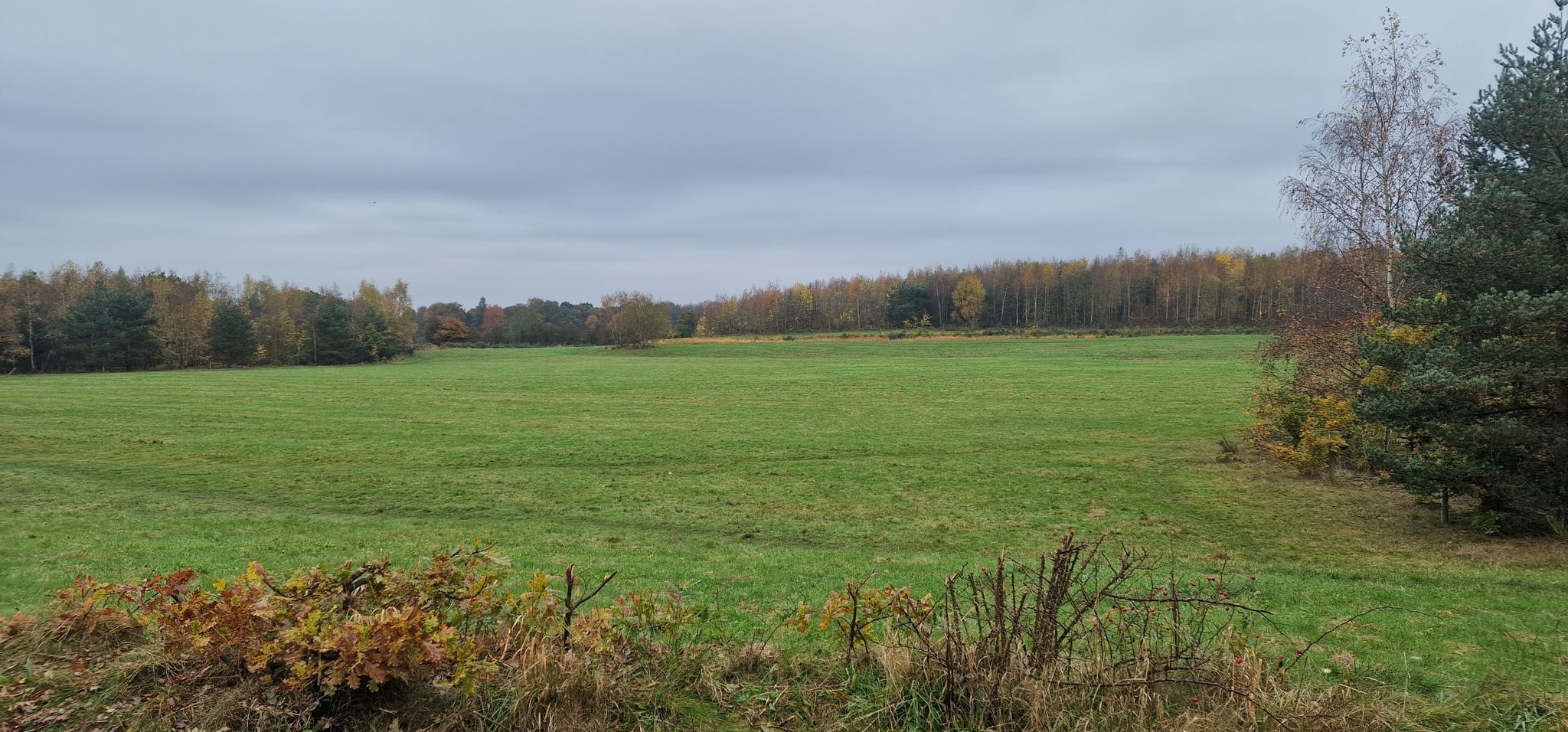 Field
