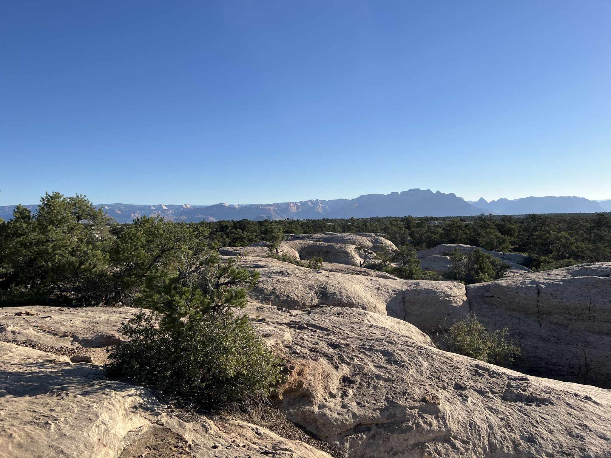 Rolling landscape of light-colored rock formations and green trees under clear sky. - Secret Trail and South Rim Loop