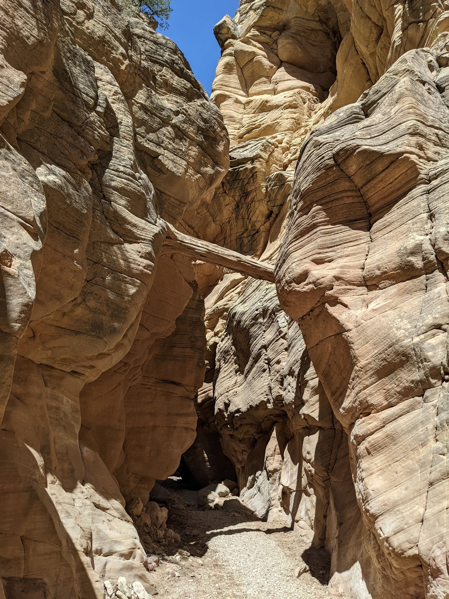 Narrow slot canyon with layered rock walls and a log wedged overhead. - Bull Valley Gorge Trail