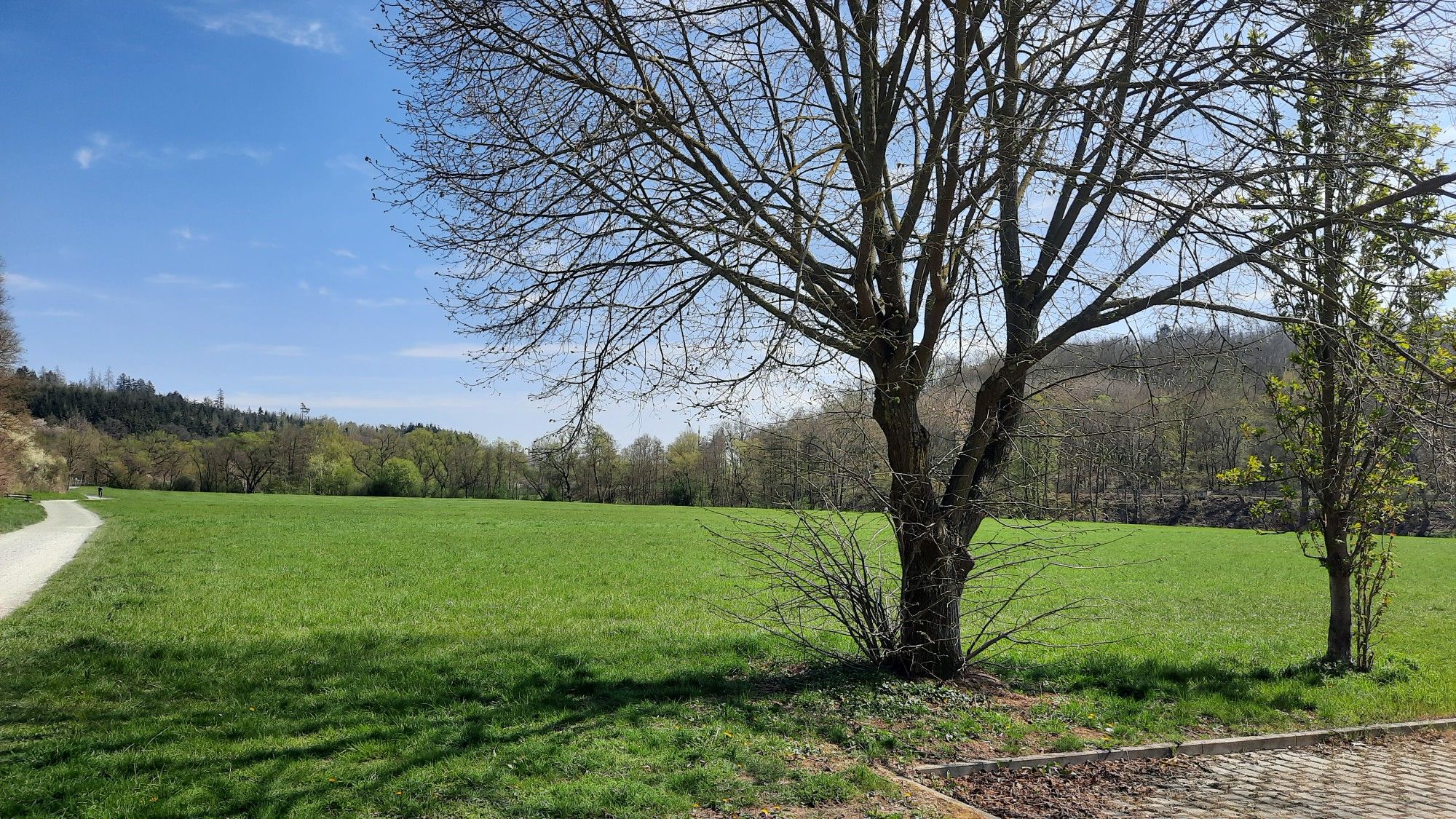 Auwiese bei Niederselters