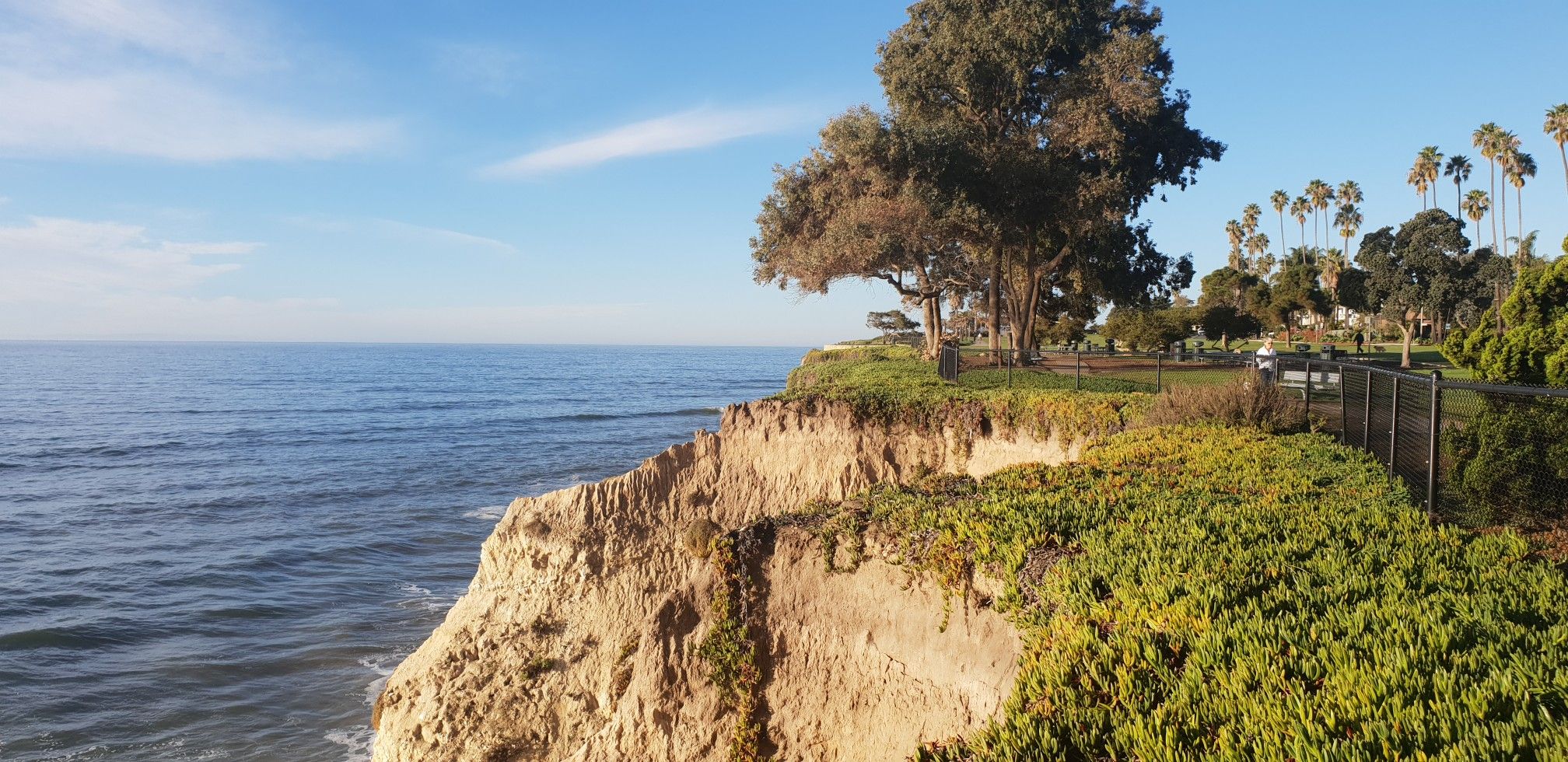 Sunny coastal cliff overlooking calm blue ocean with green trees. - Santa Barbara Station to Shoreline Park run via Leadbetter Beach