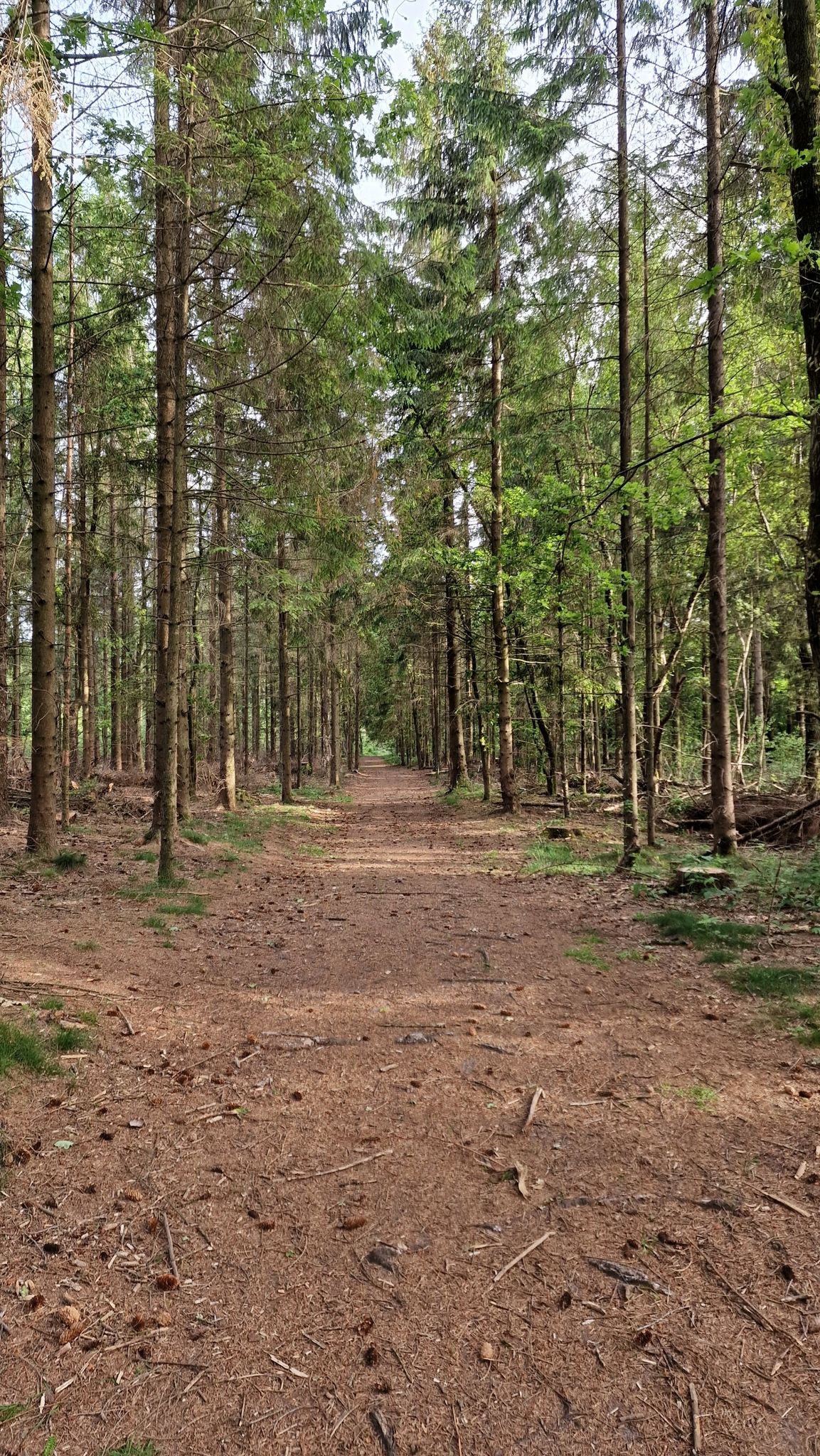 Hundewald