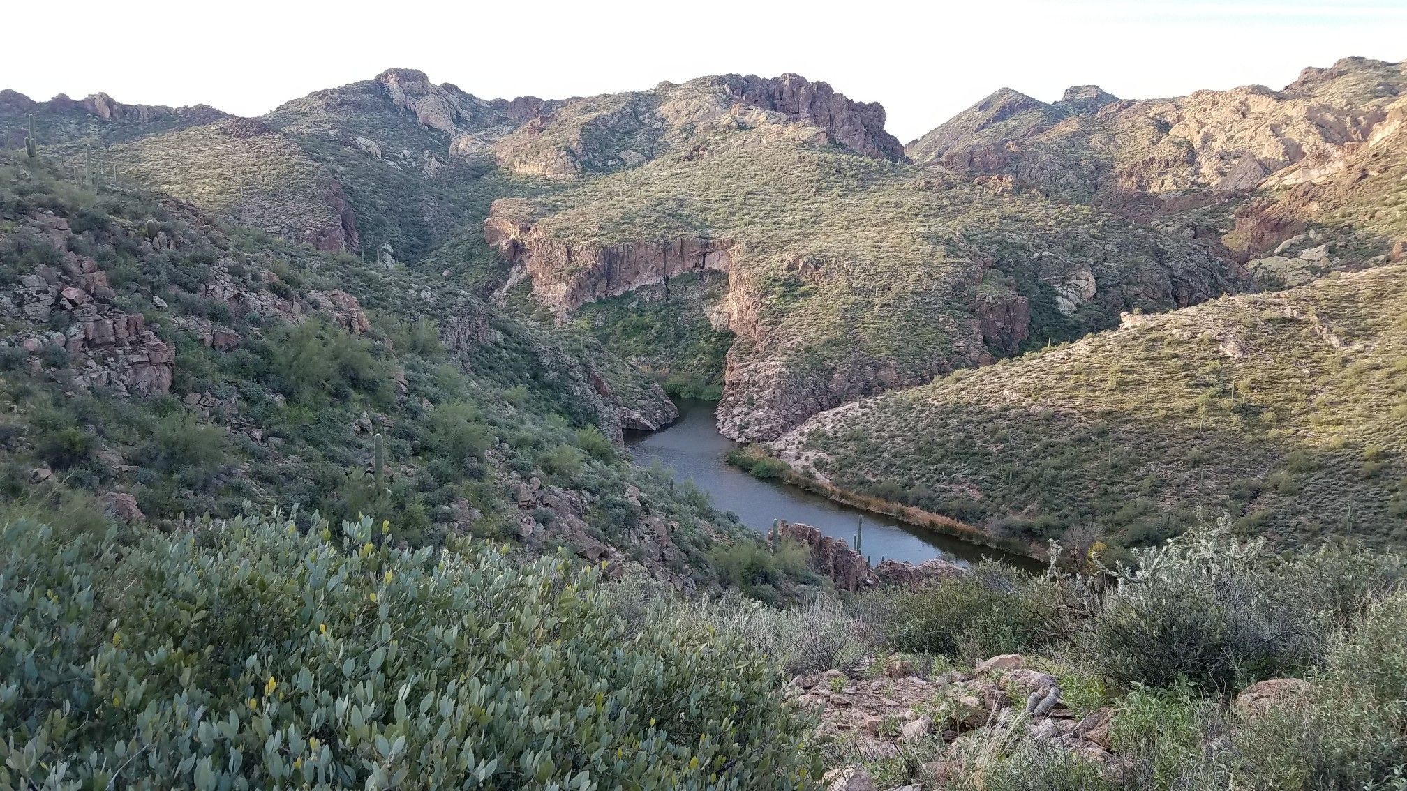A river winds through a rocky, green canyon under soft natural light. - Boulder Canyon Trail #103