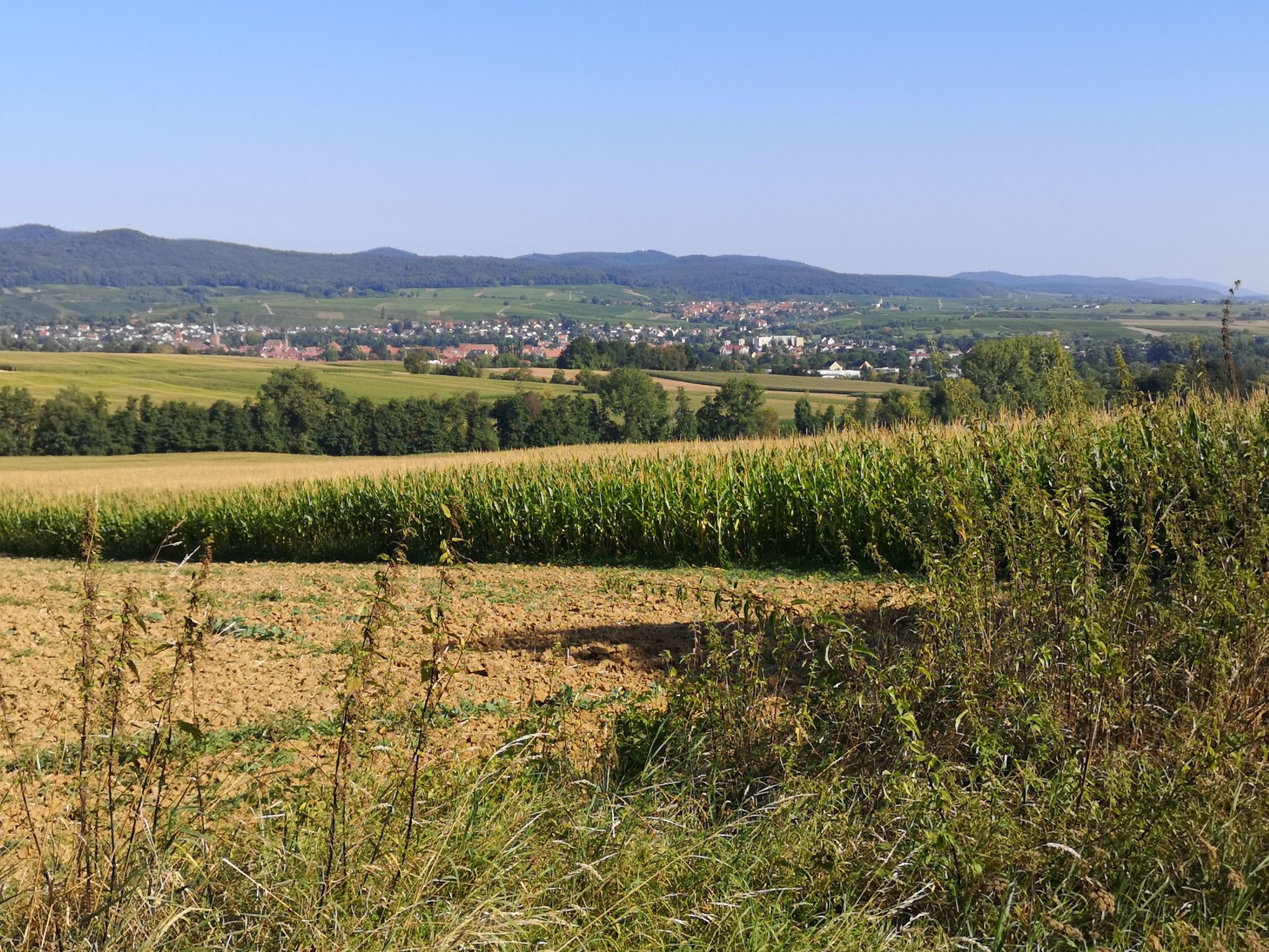 Wissembourg mit Schweigen Rechtenbach