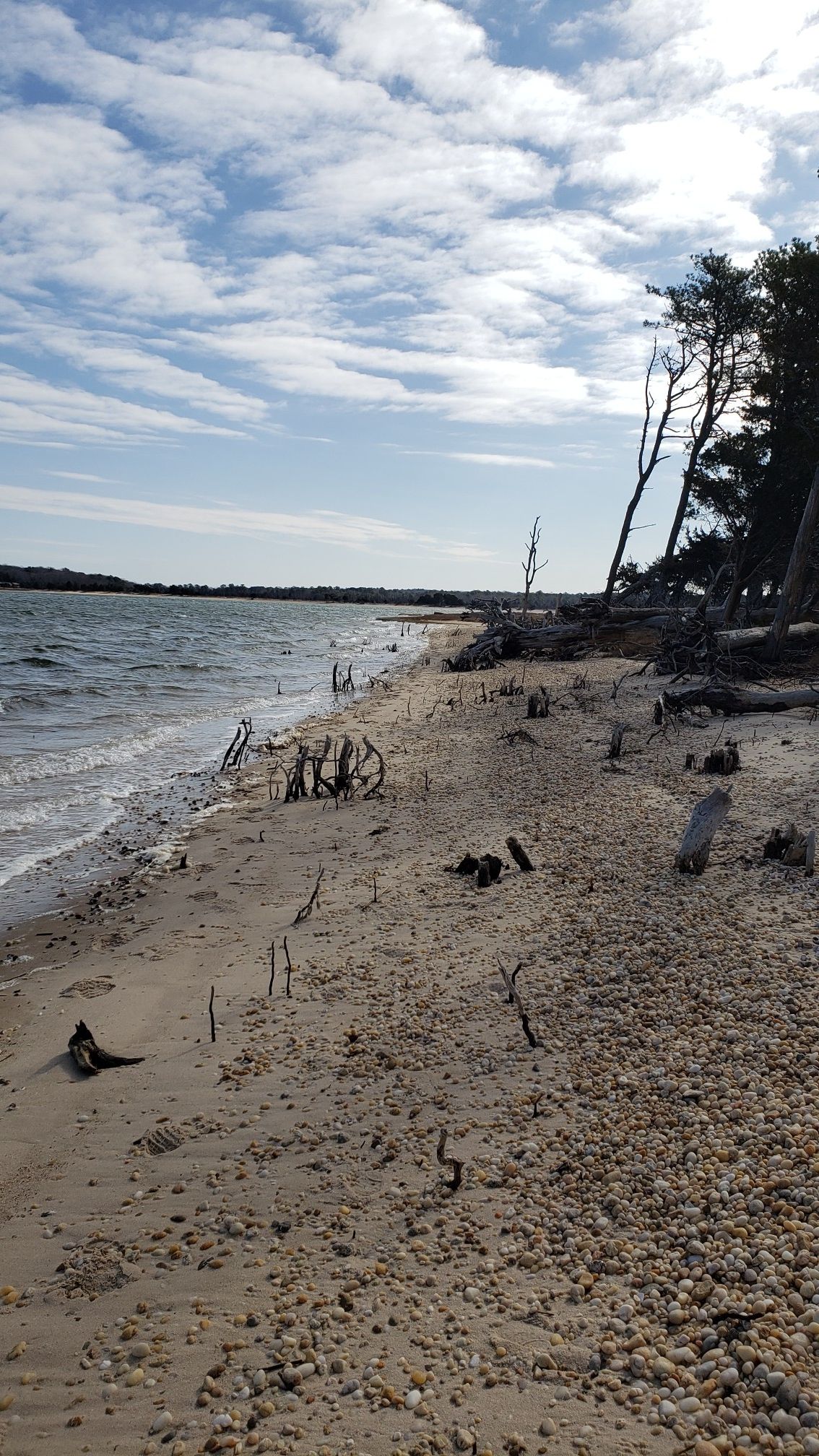 A sandy beach with waves, driftwood, and trees under a bright, cloudy sky. - Hubbard County Park Trail