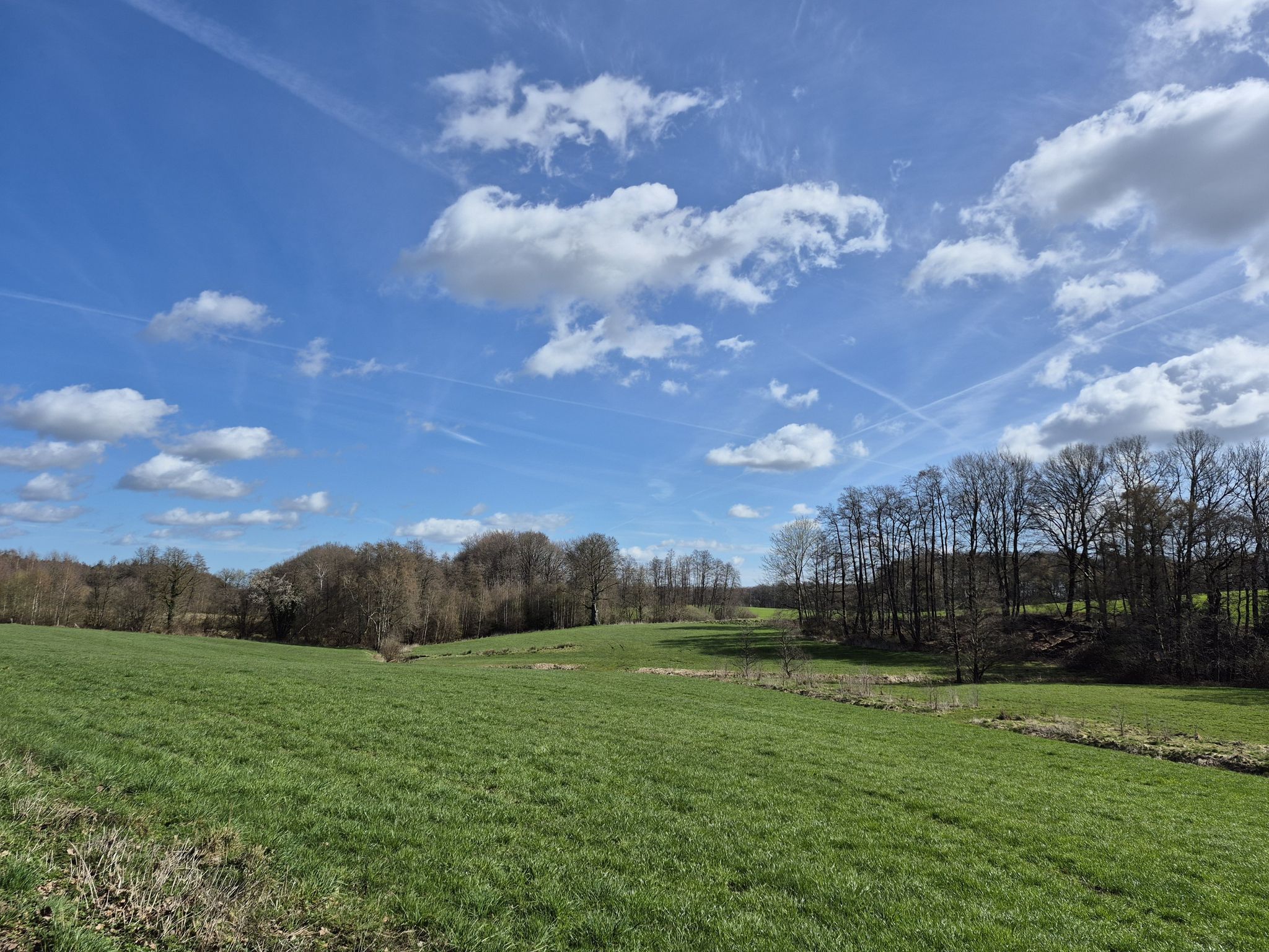 Durch Wald und Wiesen