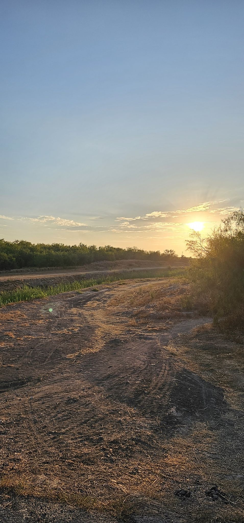 Golden sunset over a wide dirt path bordered by distant trees. - Parking Area with Wild Turkeys loop from SMT Mission LLC