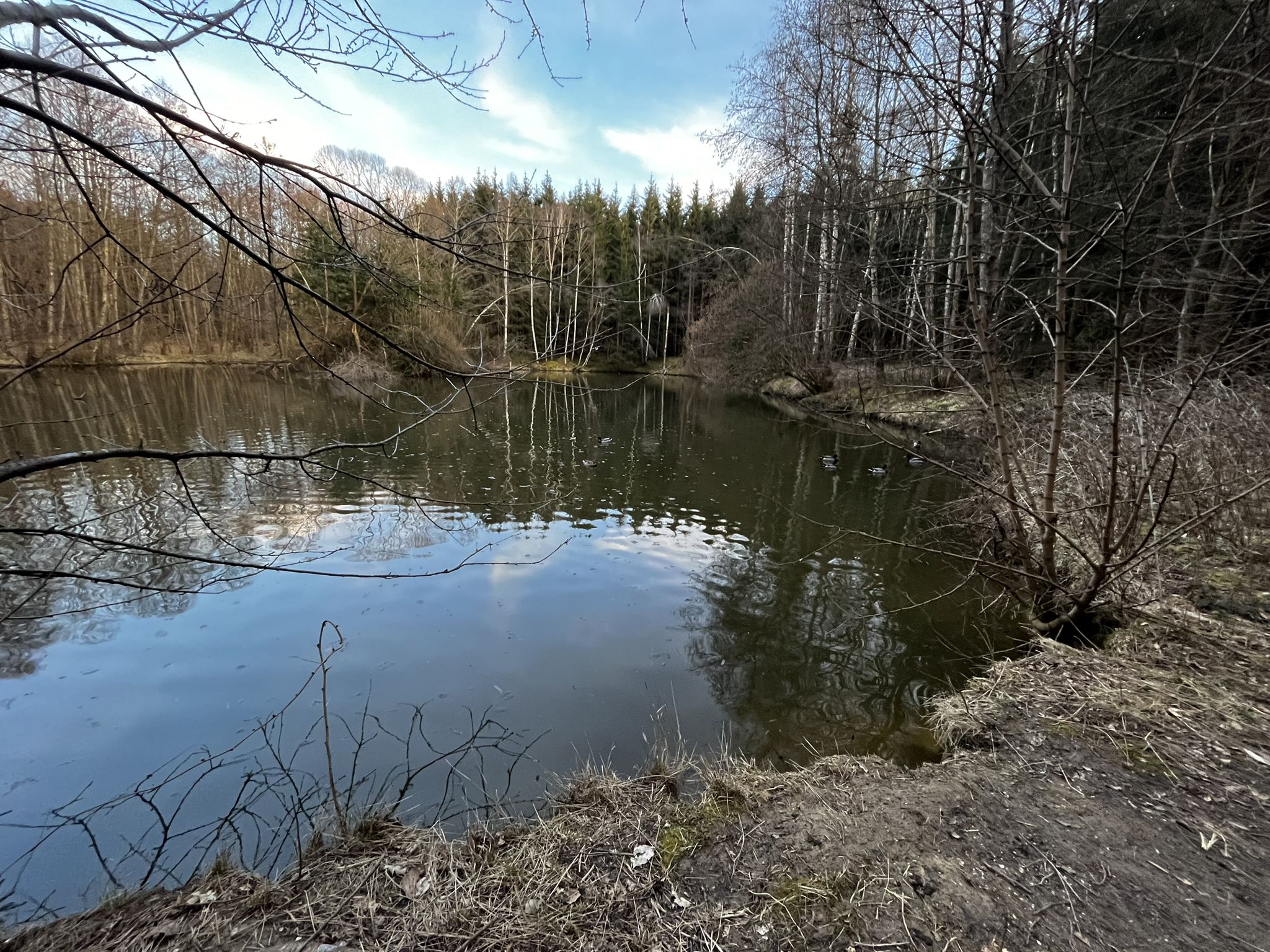 am Waldsee Nähe Tannenhof