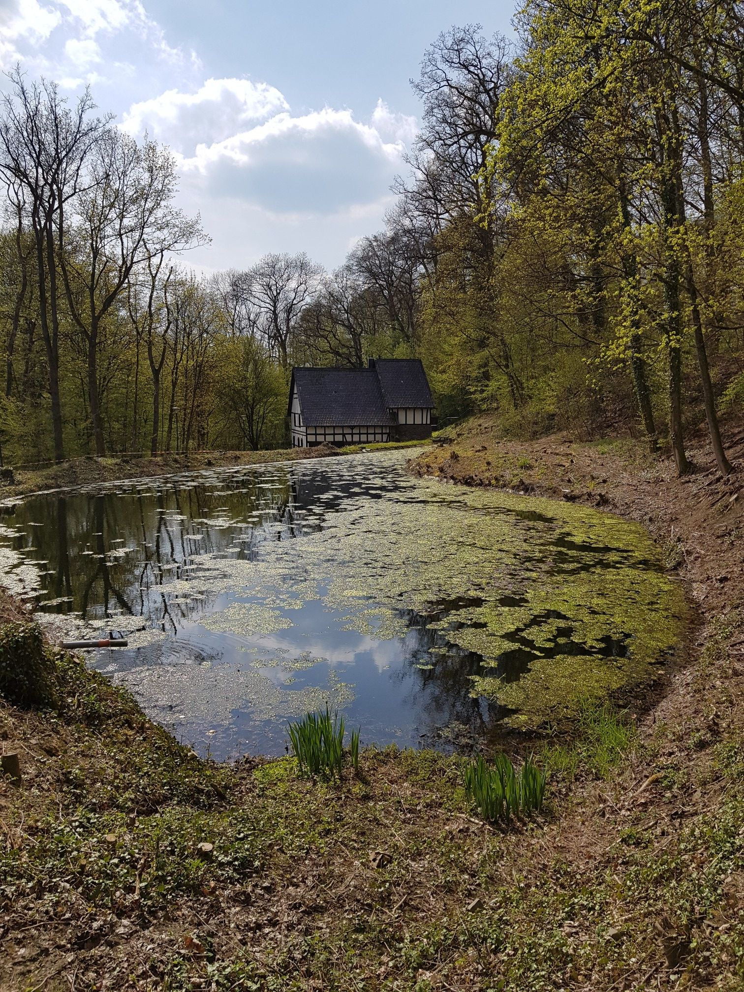 Der Mühlenteich