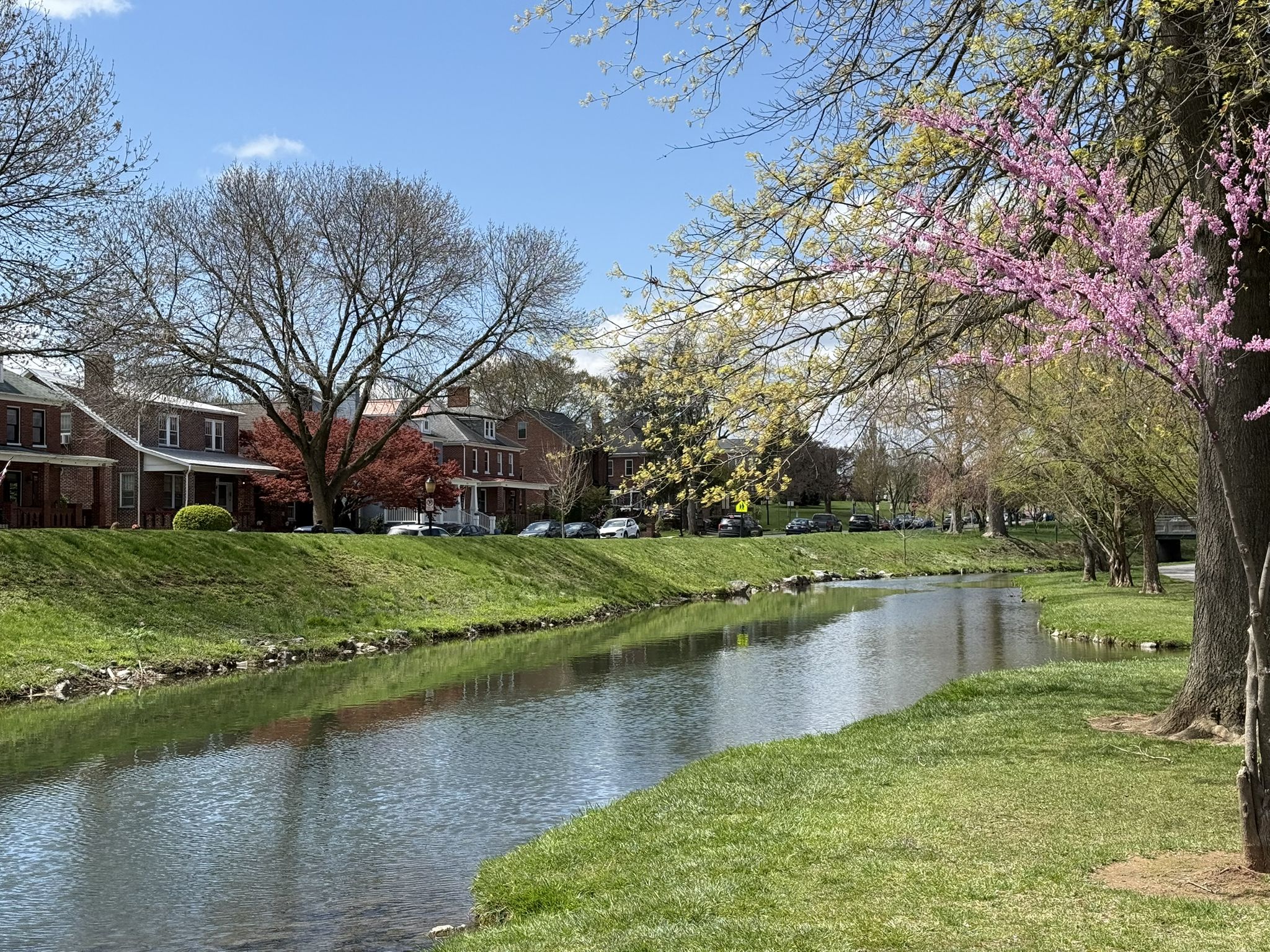 Sunny view of a river, green banks, blooming trees, and distant houses. - Utica Covered Bridge – Baker Park loop from Frederick