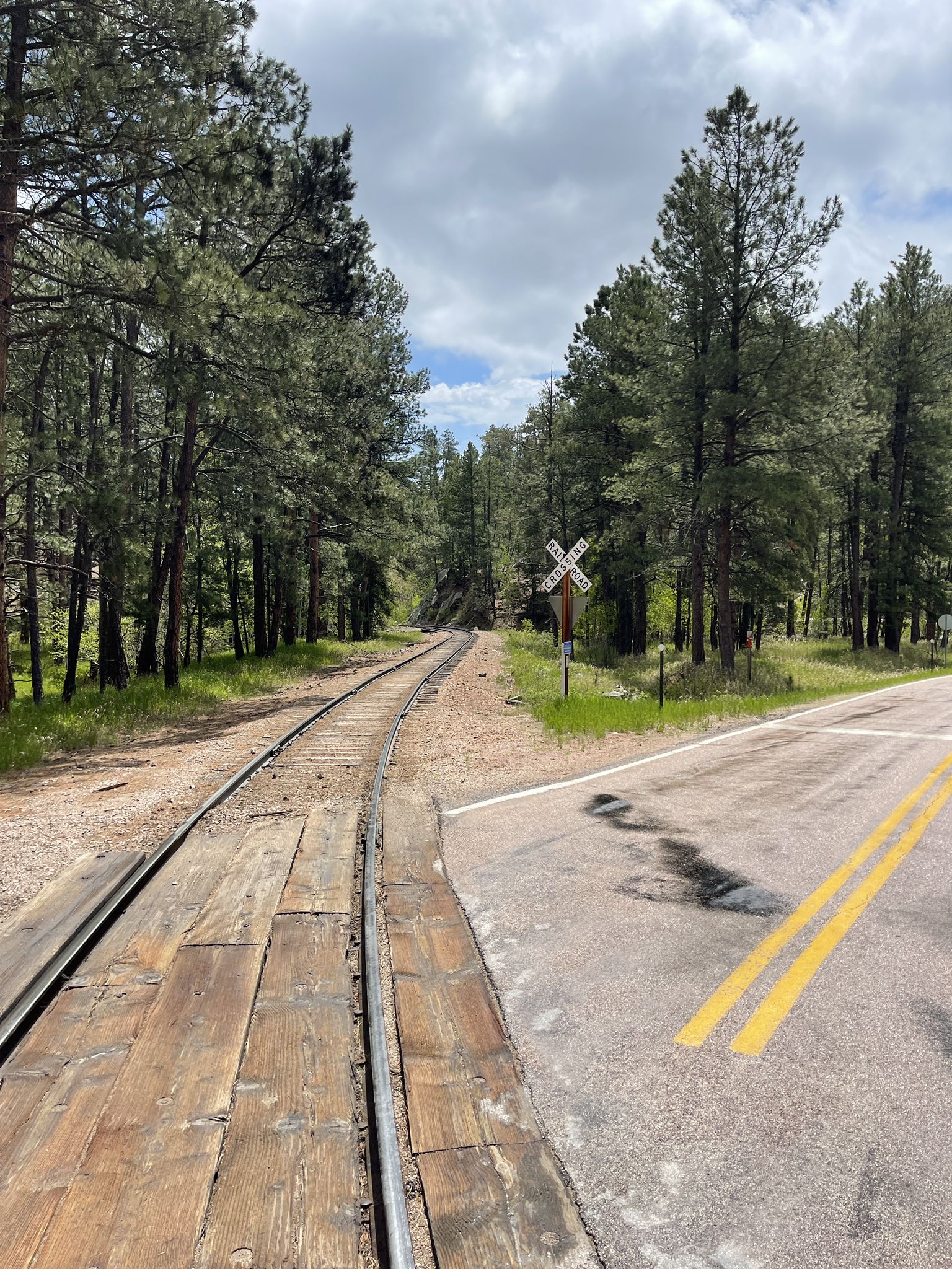 Railroad tracks cross a road through a pine forest under cloudy skies. - Hill City to Keystone via Old Hill City Route