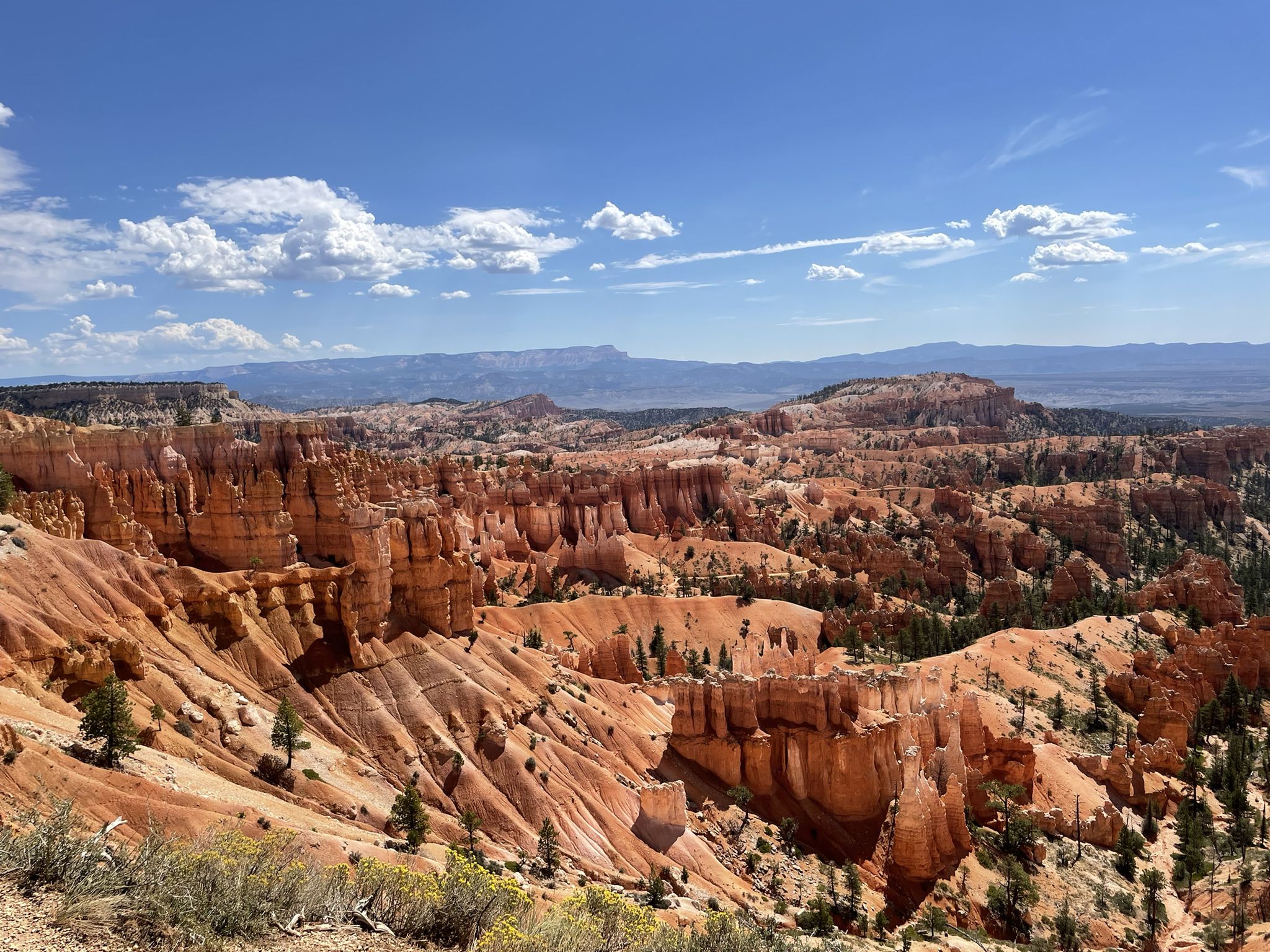 Wide landscape of a vast canyon filled with intricate orange rock formations. - Lower Inspiration Point loop from Bryce Canyon Lodge