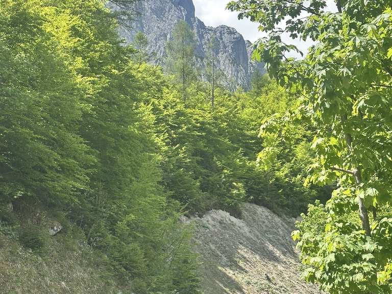 Über Gasteig ins Kaiserbachtal, rauf zum Trögelgraben und über den ...