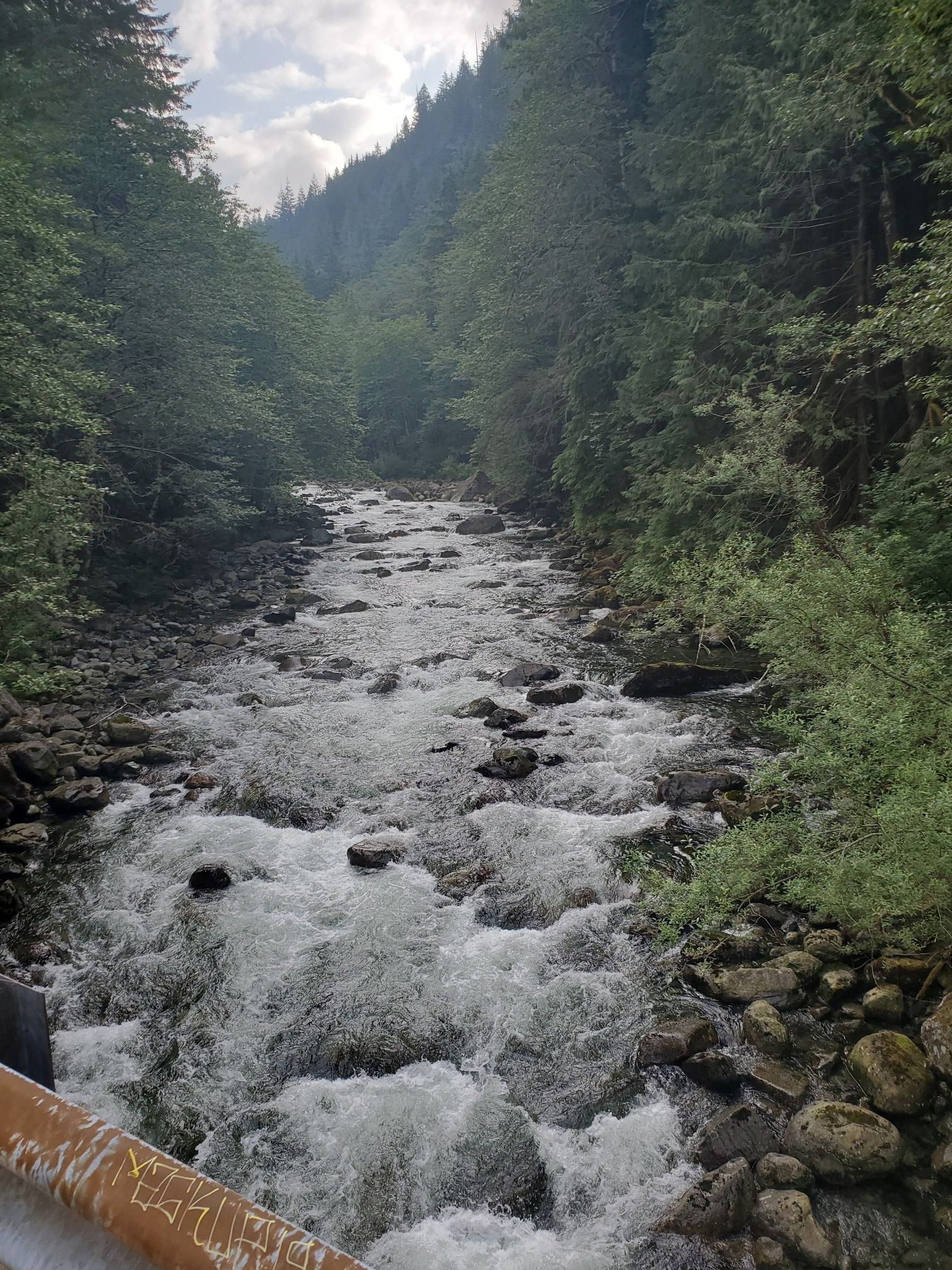 A rushing river flows through a steep, forested mountain valley. - Otter and Big Creek Falls Via Taylor River Trail